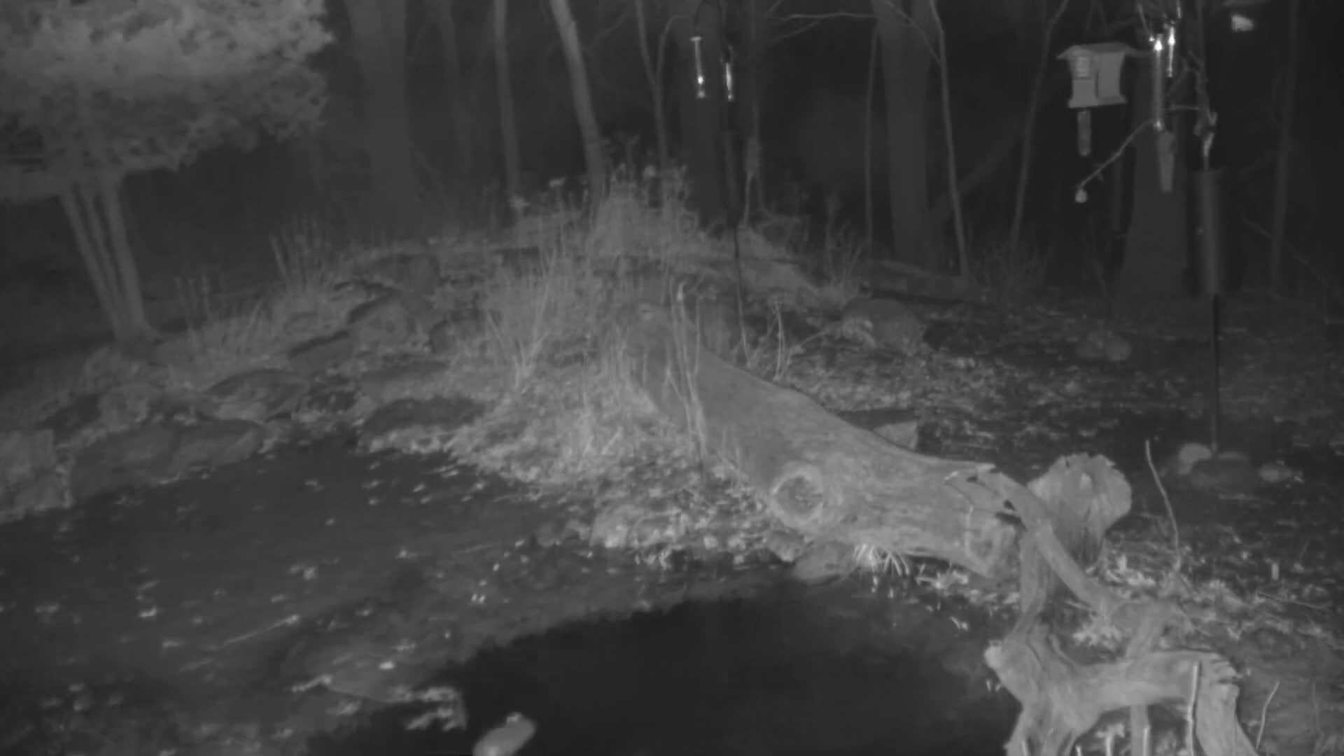 Bloomington, Richardson Nature Center Live Cam – Bloomington, Hennepin, Minnesota, USA