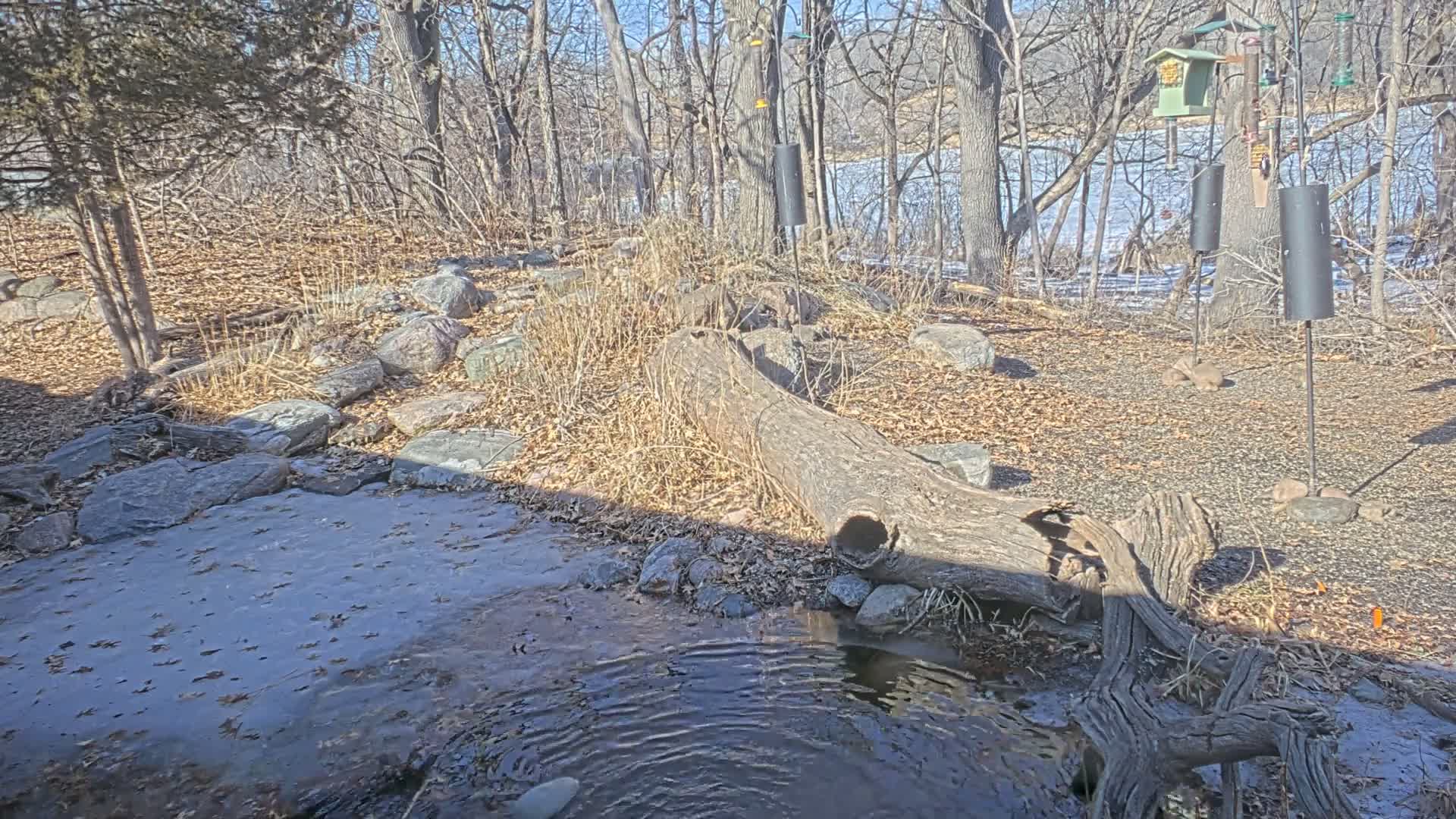 Bloomington, Richardson Nature Center Live Cam – Bloomington, Hennepin, Minnesota, USA