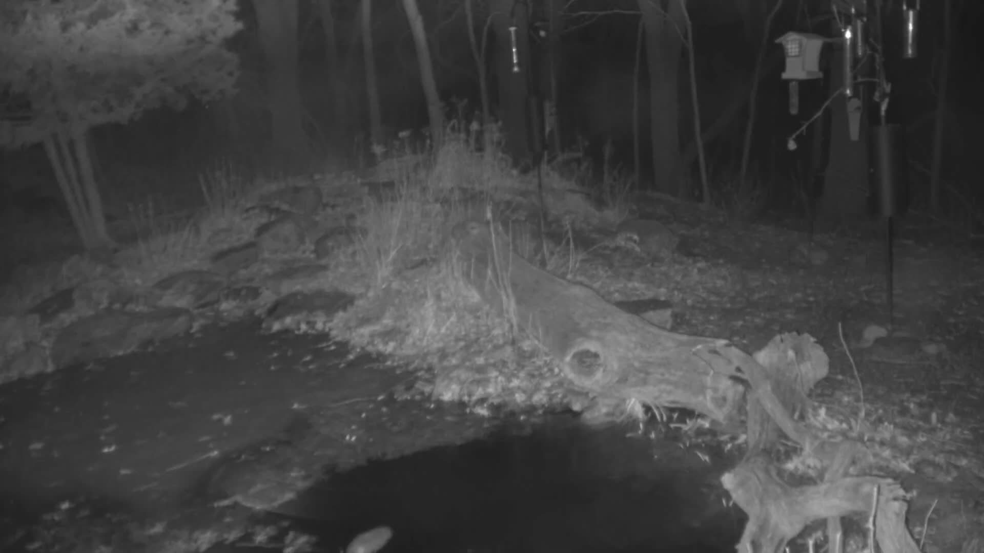 Bloomington, Richardson Nature Center Live Cam – Bloomington, Hennepin, Minnesota, USA