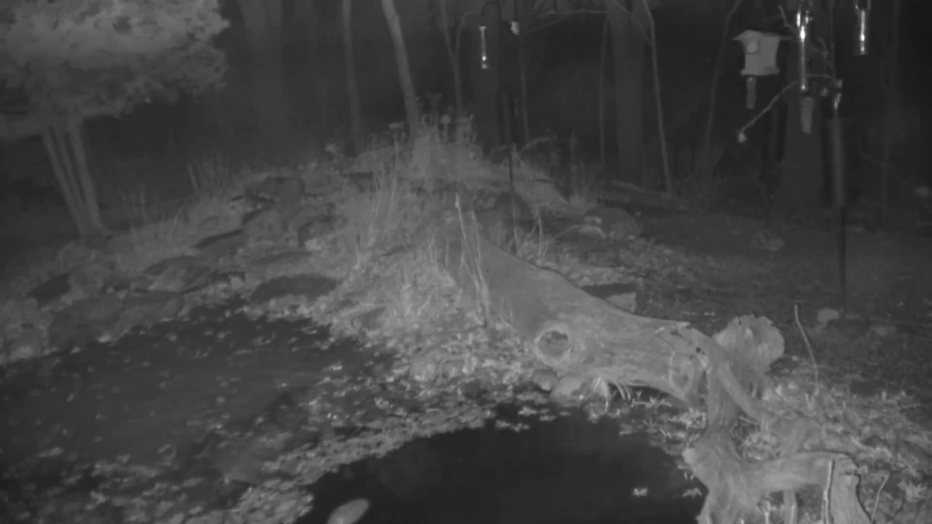 Bloomington, Richardson Nature Center Live Cam – Bloomington, Hennepin, Minnesota, USA
