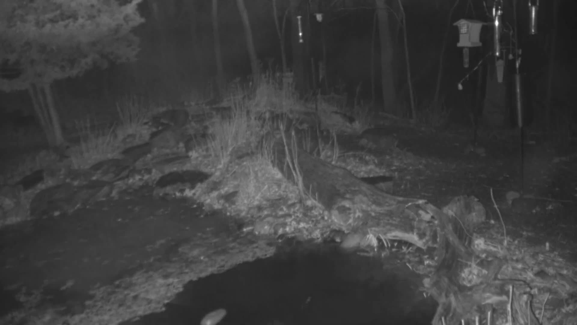 Bloomington, Richardson Nature Center Live Cam – Bloomington, Hennepin, Minnesota, USA
