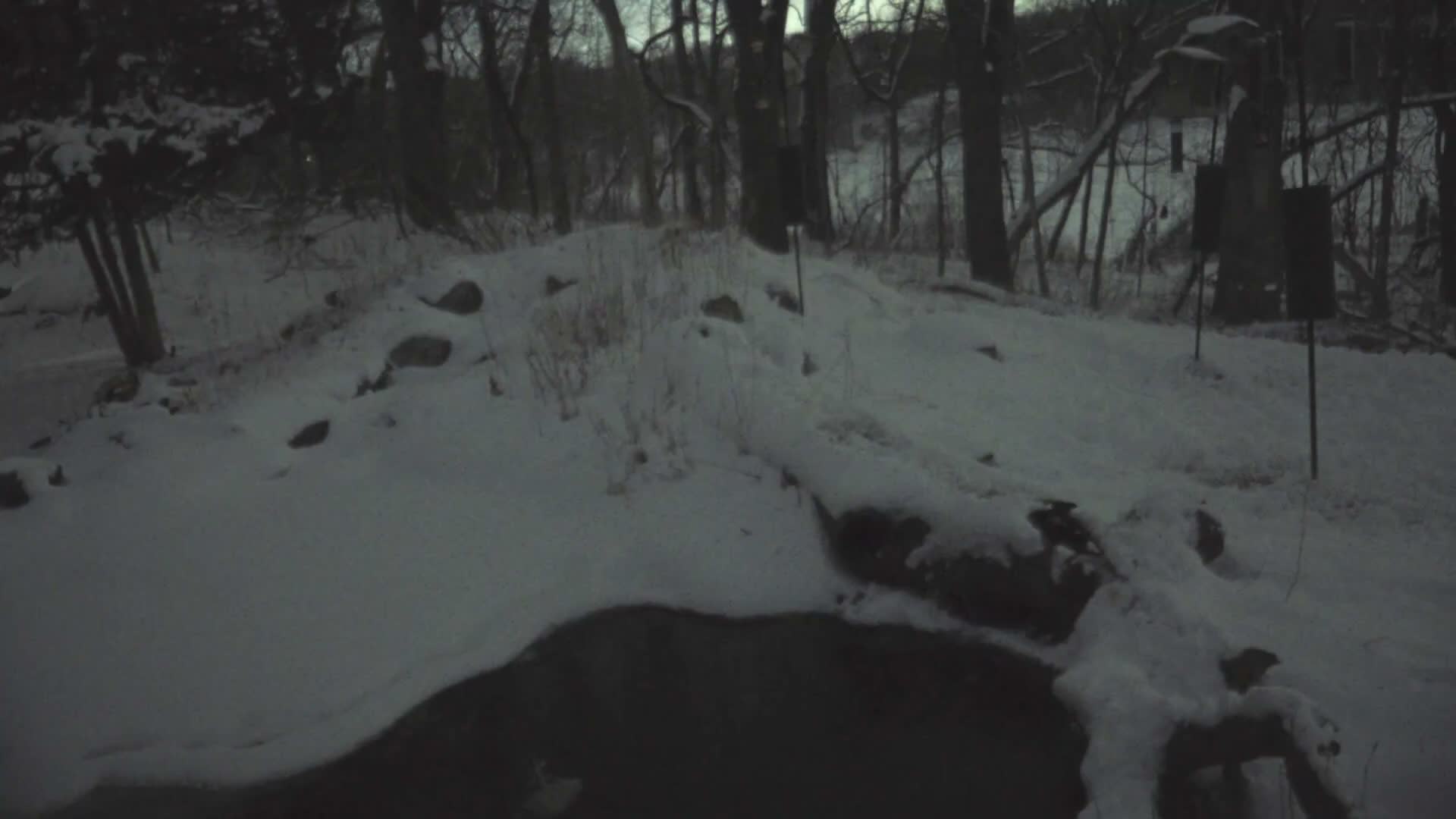 Bloomington, Richardson Nature Center Live Cam – Bloomington, Hennepin, Minnesota, USA
