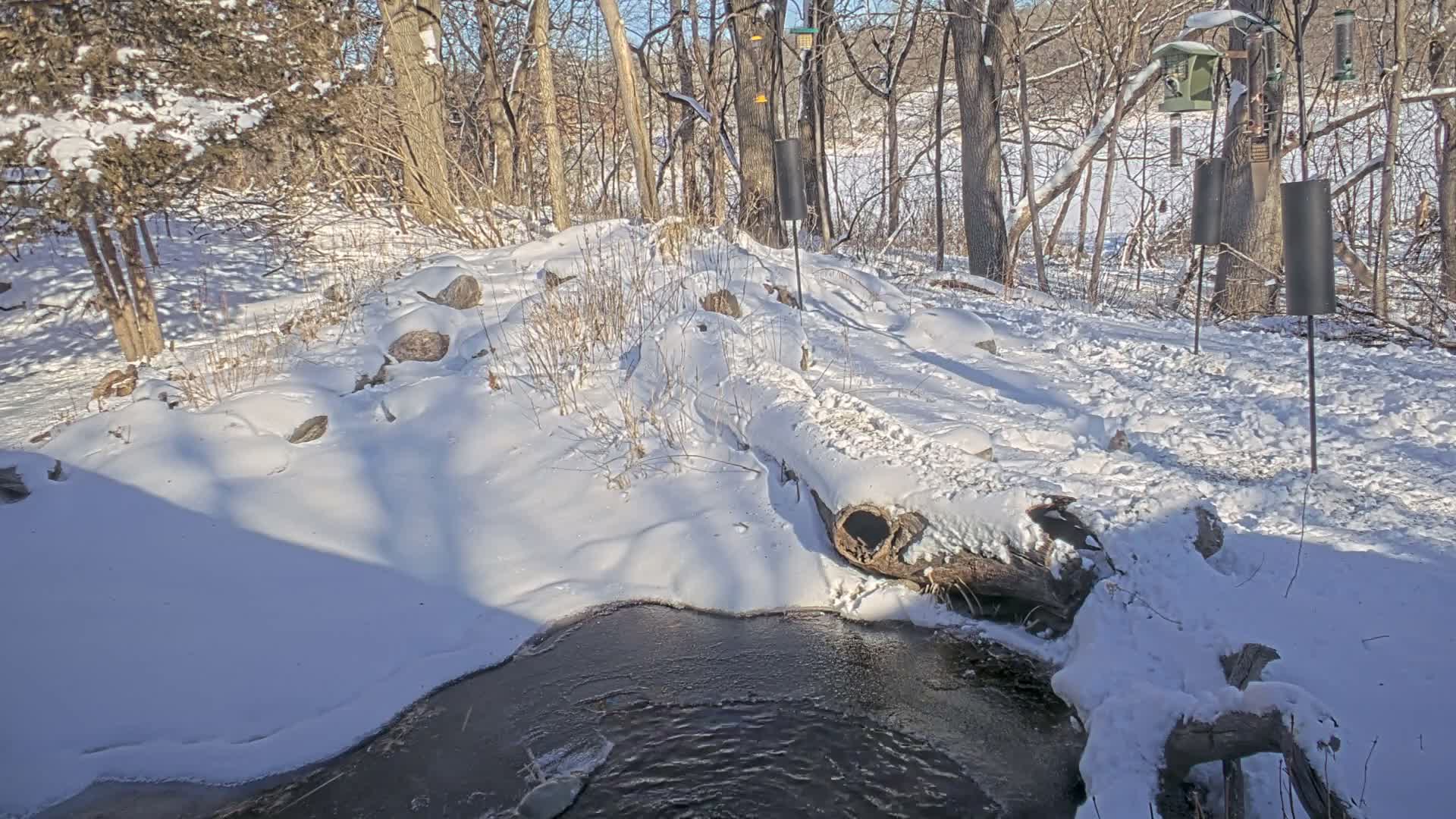 Bloomington, Richardson Nature Center Live Cam – Bloomington, Hennepin, Minnesota, USA