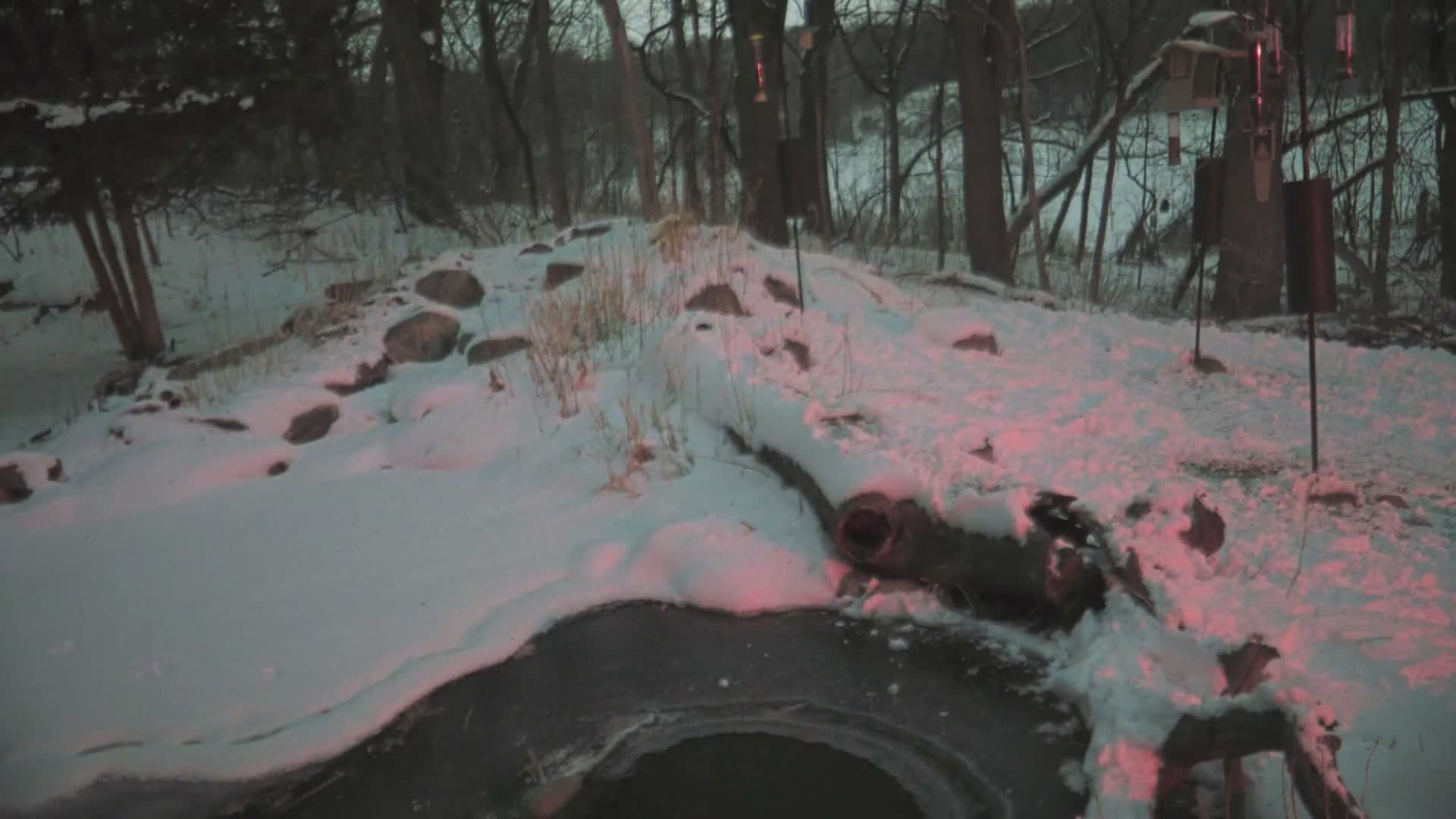 Bloomington, Richardson Nature Center Live Cam – Bloomington, Hennepin, Minnesota, USA
