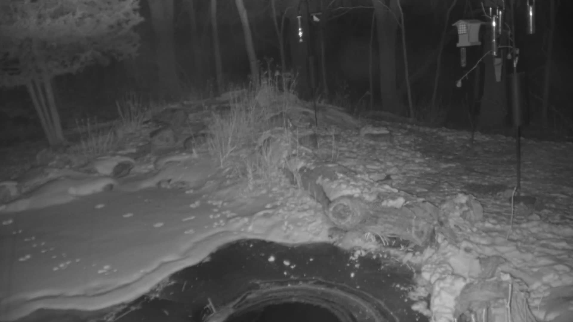 Bloomington, Richardson Nature Center Live Cam – Bloomington, Hennepin, Minnesota, USA