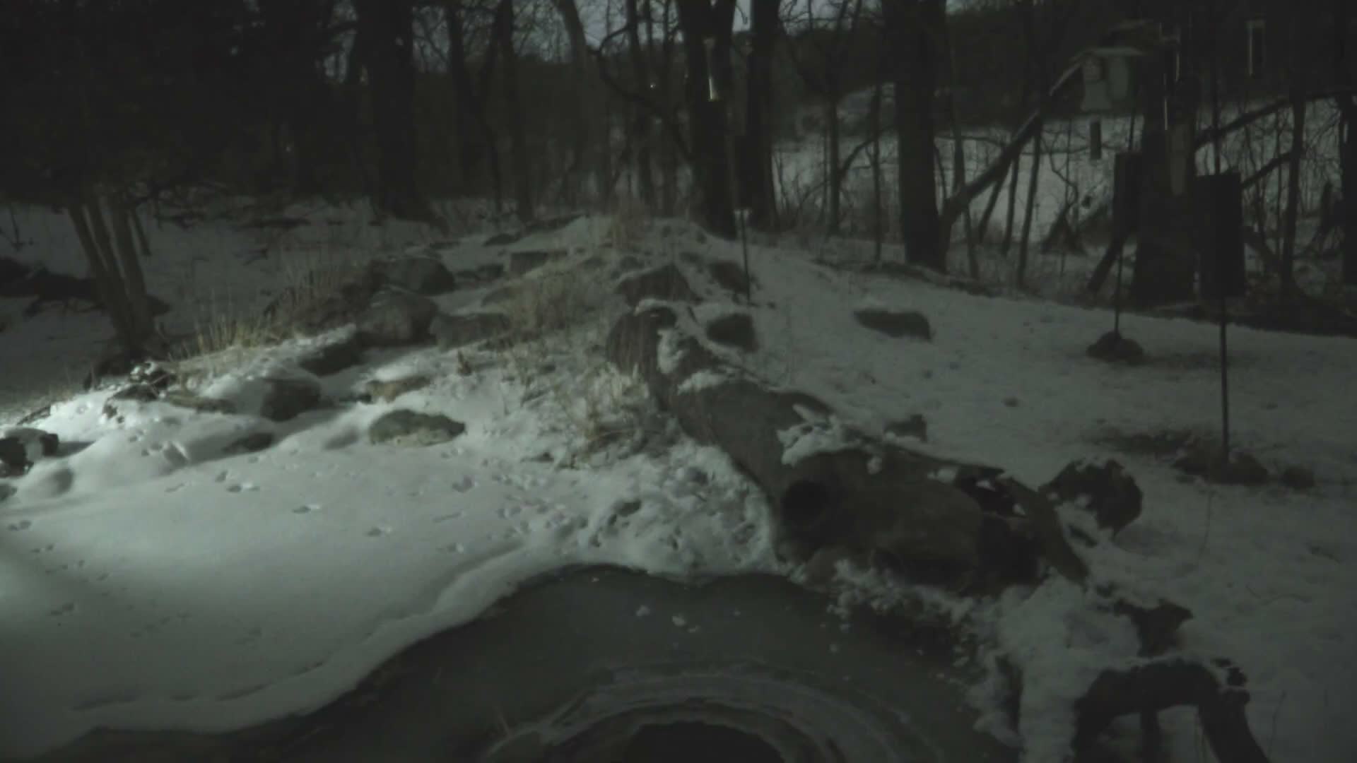 Bloomington, Richardson Nature Center Live Cam – Bloomington, Hennepin, Minnesota, USA