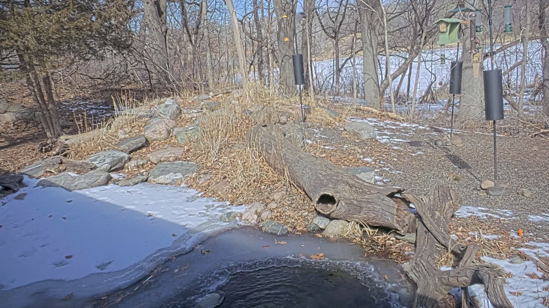 Bloomington, Richardson Nature Center Live Cam – Bloomington, Hennepin, Minnesota, USA