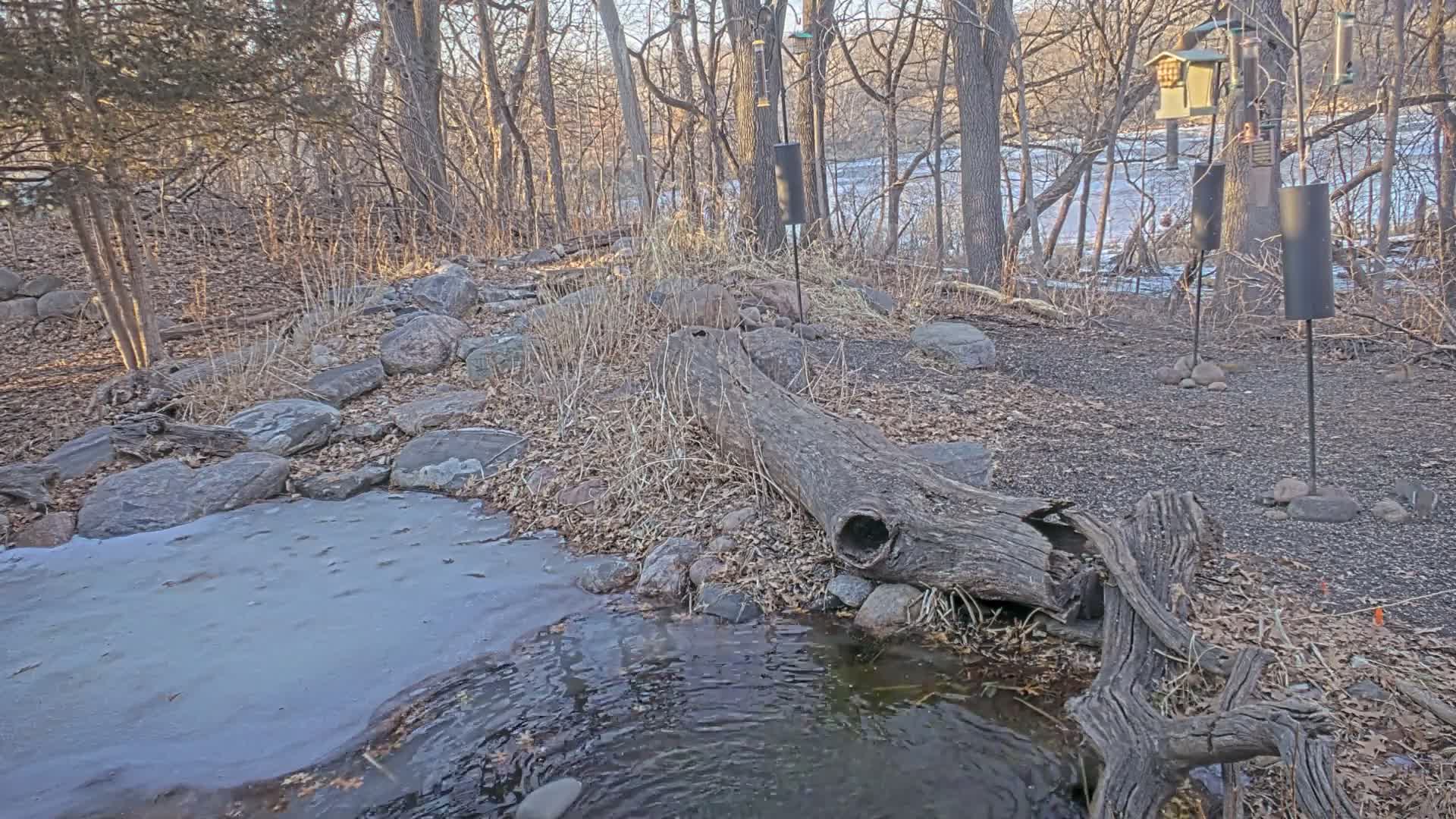 Bloomington, Richardson Nature Center Live Cam – Bloomington, Hennepin, Minnesota, USA