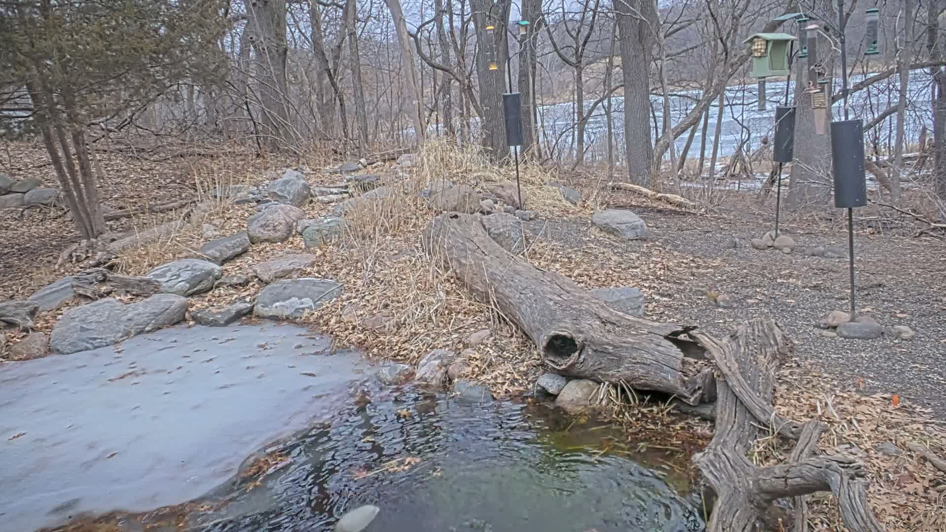 Bloomington, Richardson Nature Center Live Cam – Bloomington, Hennepin, Minnesota, USA