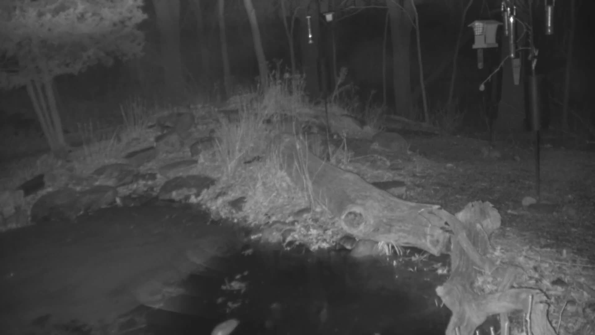 Bloomington, Richardson Nature Center Live Cam – Bloomington, Hennepin, Minnesota, USA