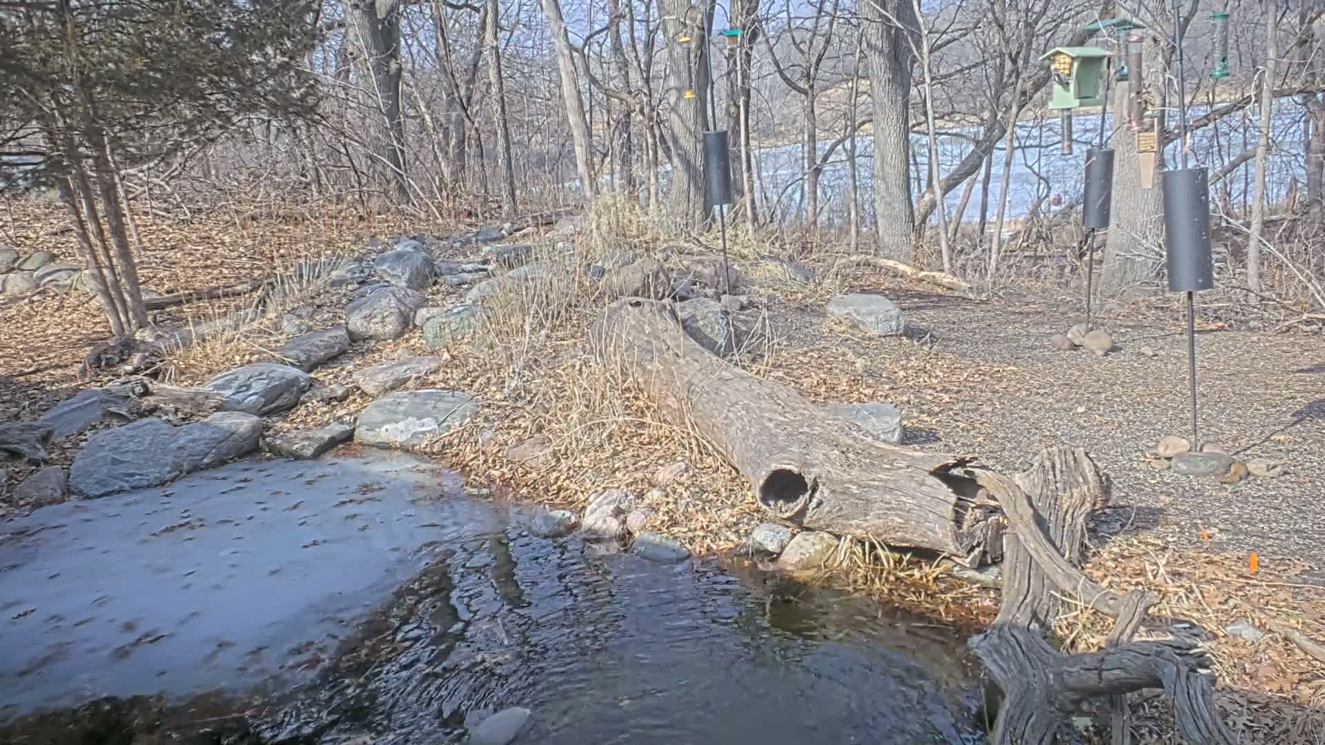 Bloomington, Richardson Nature Center Live Cam – Bloomington, Hennepin, Minnesota, USA