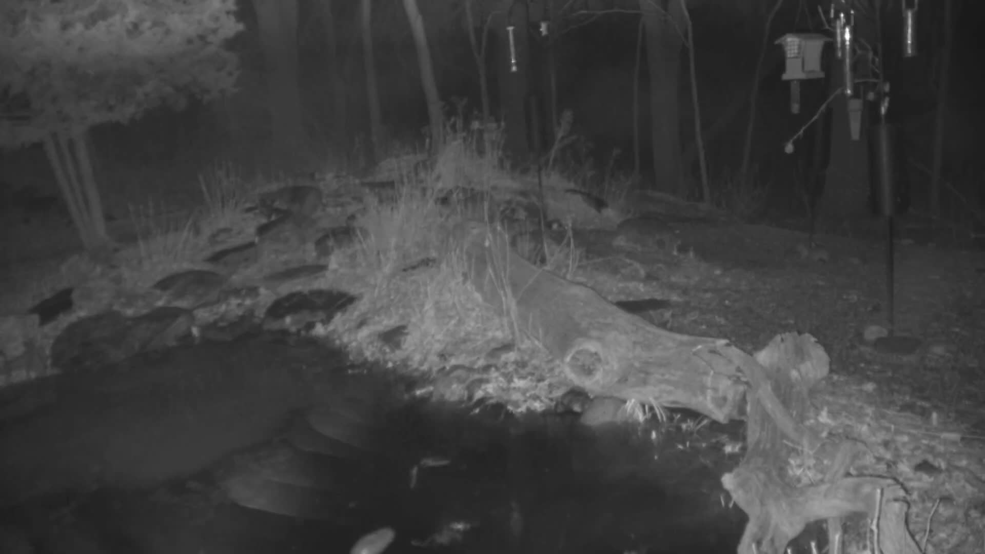 Bloomington, Richardson Nature Center Live Cam – Bloomington, Hennepin, Minnesota, USA