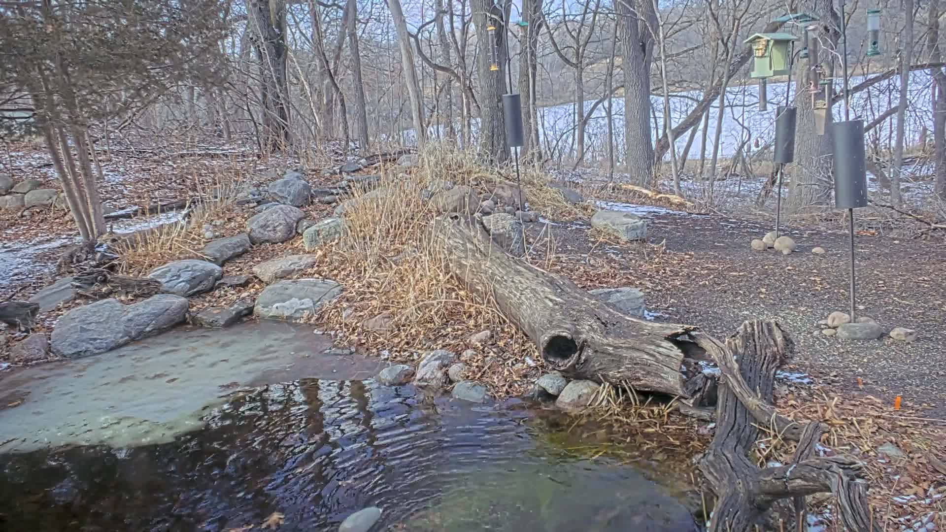 Bloomington, Richardson Nature Center Live Cam – Bloomington, Hennepin, Minnesota, USA