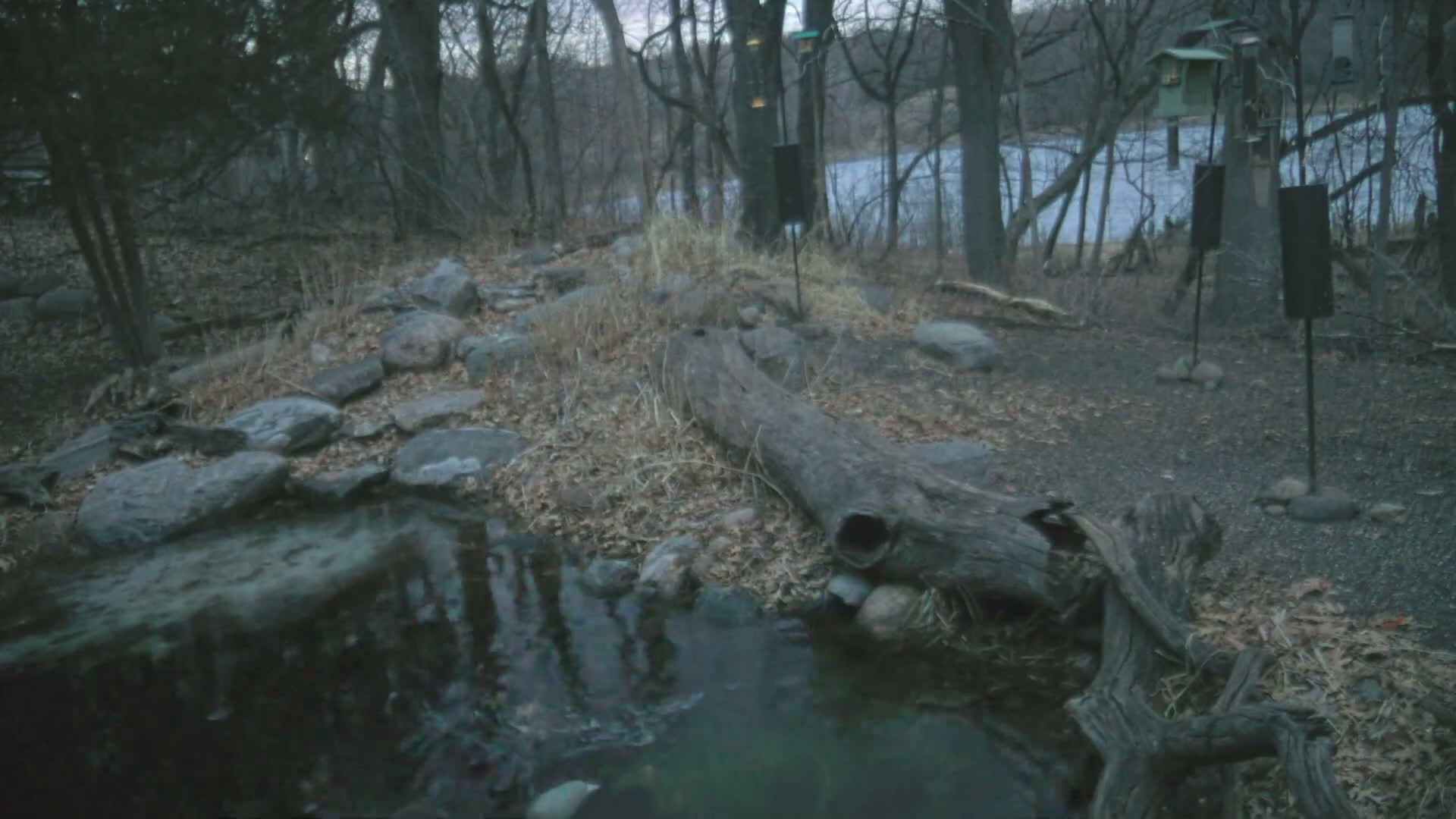 Bloomington, Richardson Nature Center Live Cam – Bloomington, Hennepin, Minnesota, USA