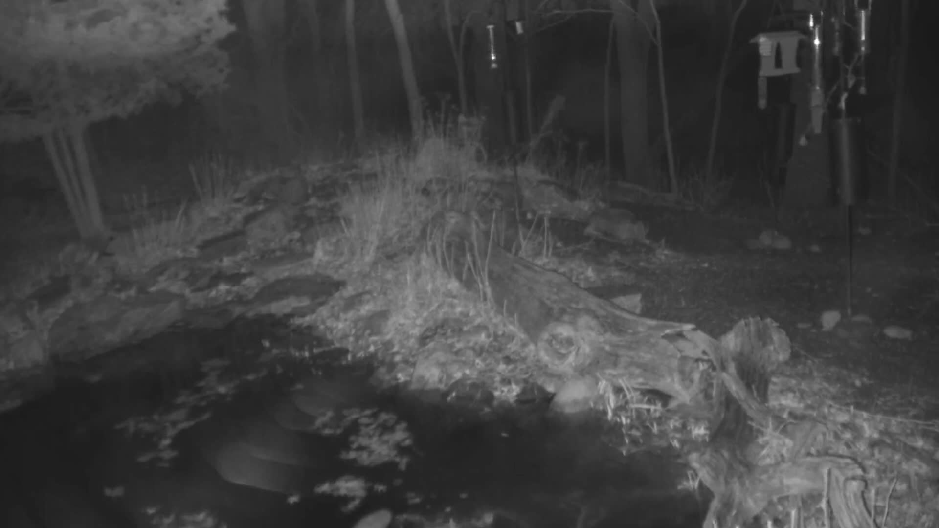 Bloomington, Richardson Nature Center Live Cam – Bloomington, Hennepin, Minnesota, USA