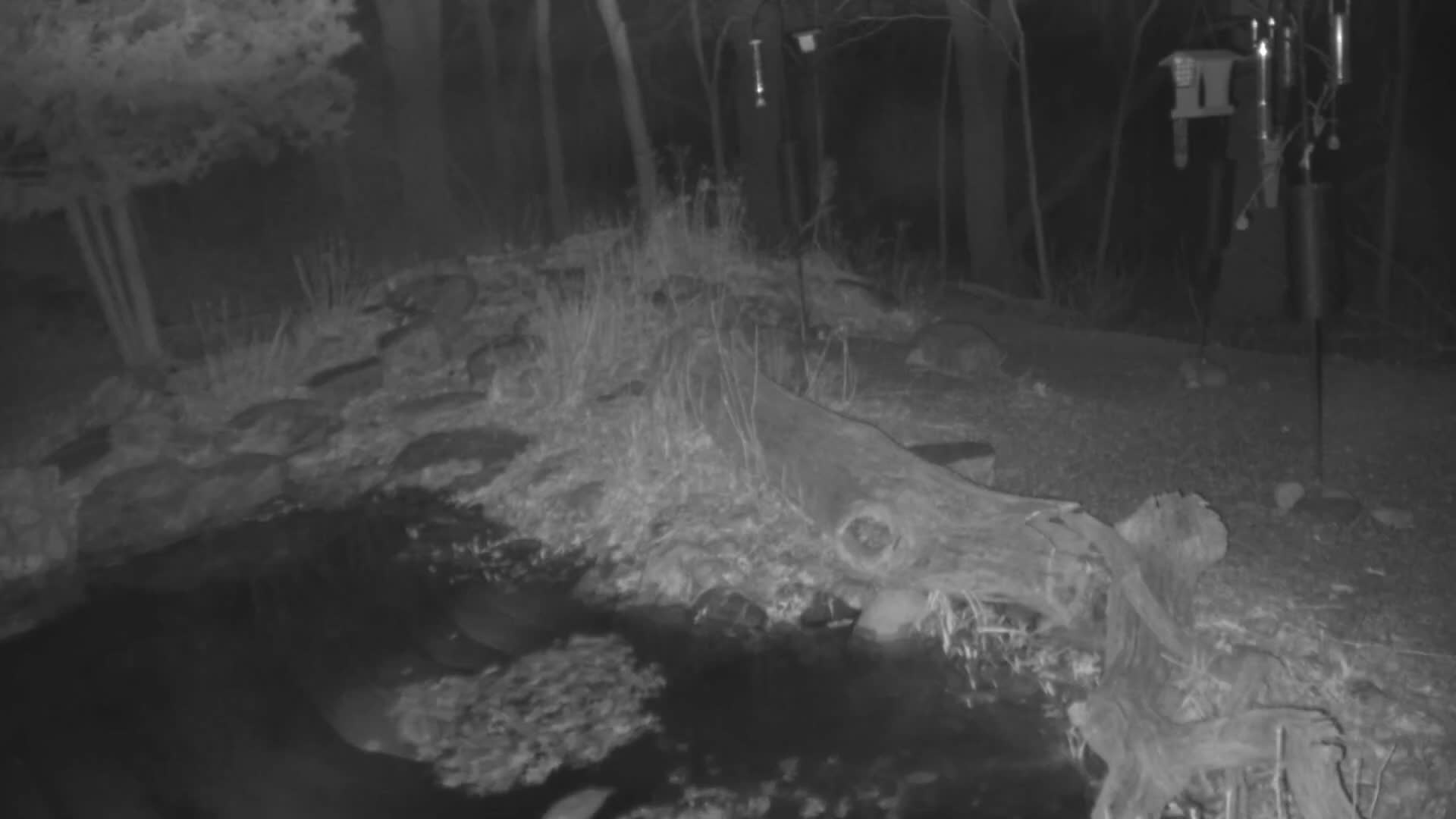 Bloomington, Richardson Nature Center Live Cam – Bloomington, Hennepin, Minnesota, USA