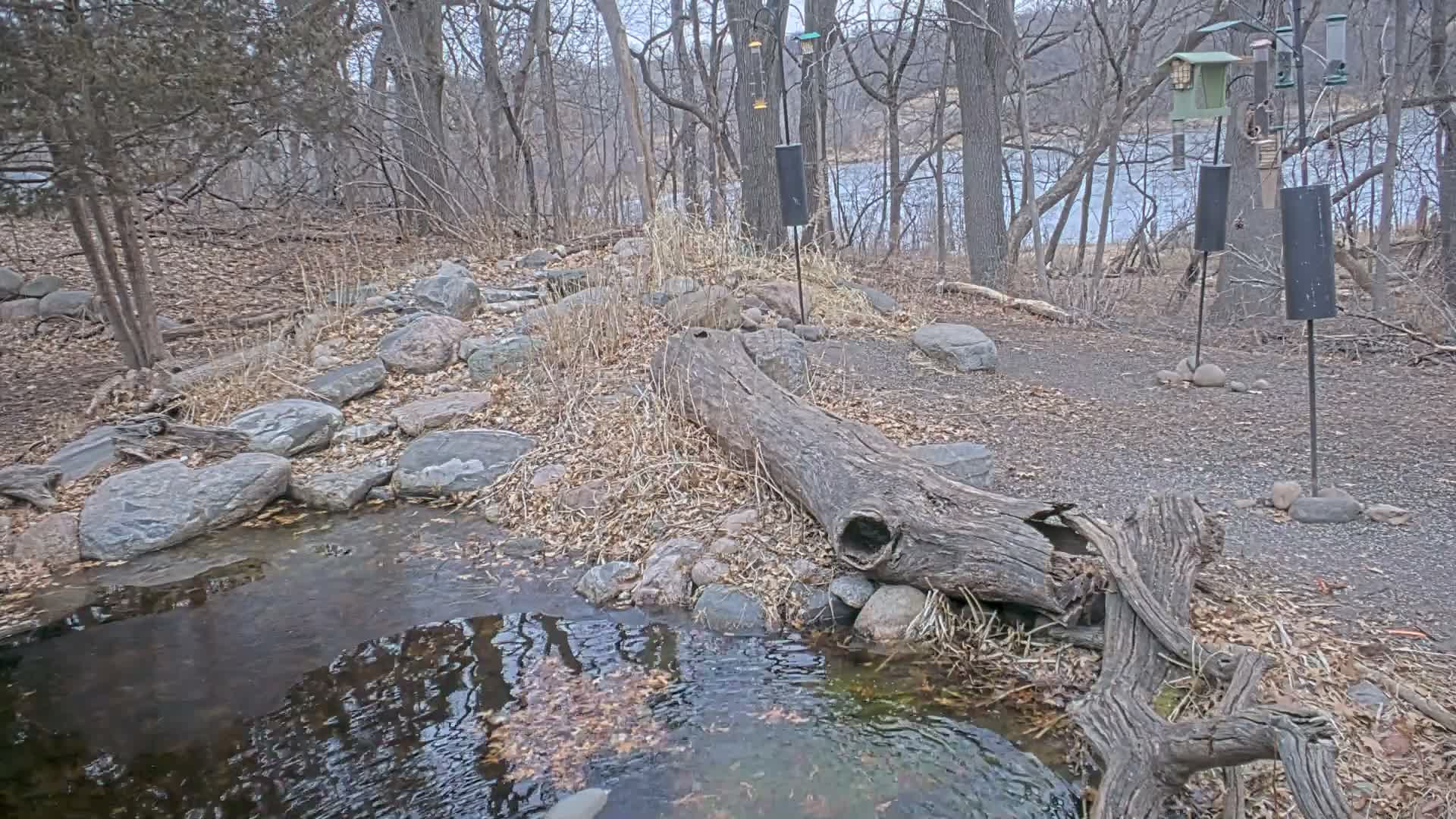 Bloomington, Richardson Nature Center Live Cam – Bloomington, Hennepin, Minnesota, USA