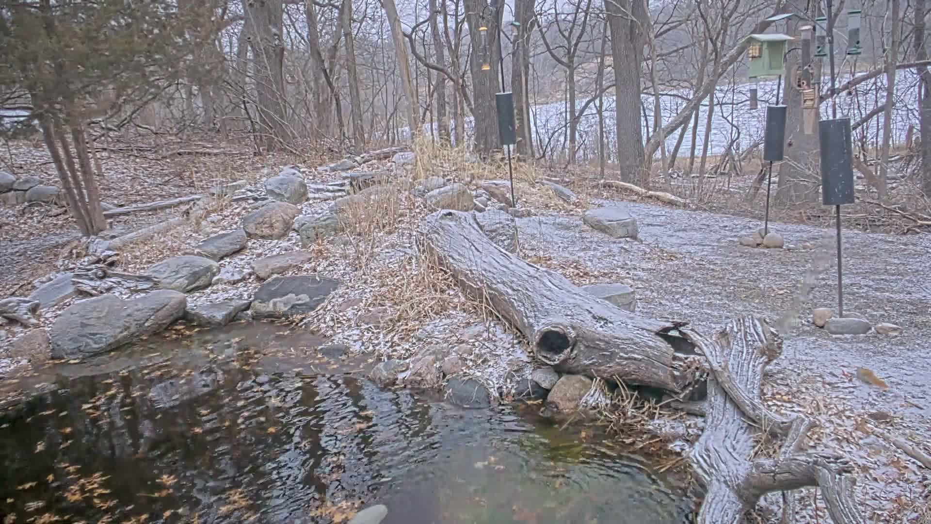 Bloomington, Richardson Nature Center Live Cam – Bloomington, Hennepin, Minnesota, USA
