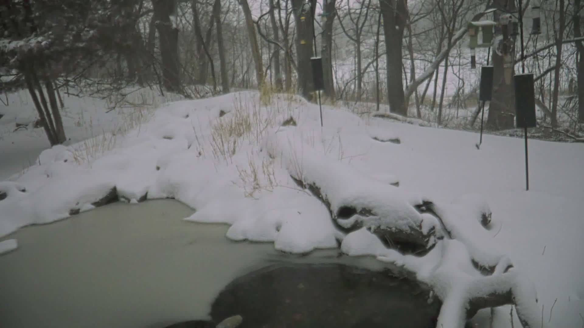 Bloomington, Richardson Nature Center Live Cam – Bloomington, Hennepin, Minnesota, USA
