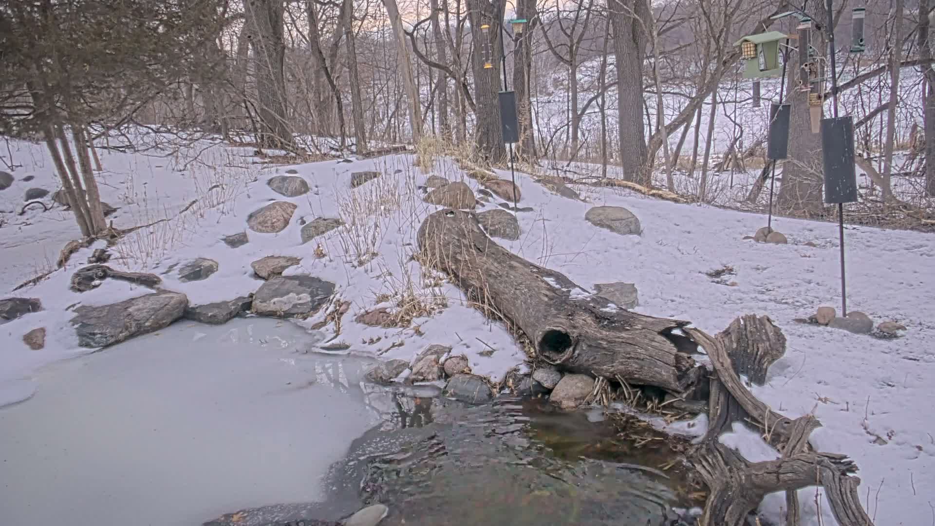 Bloomington, Richardson Nature Center Live Cam – Bloomington, Hennepin, Minnesota, USA