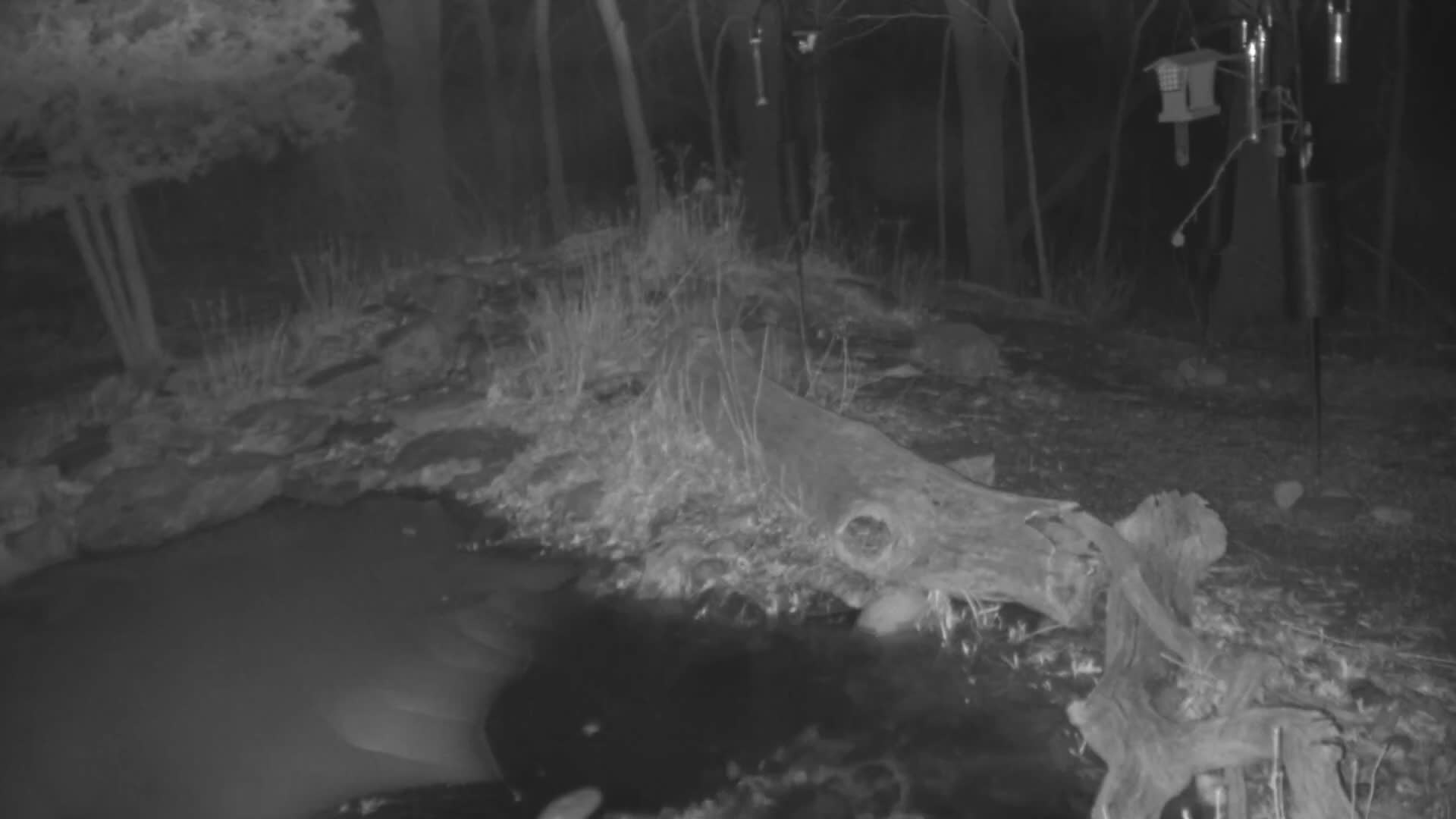 Bloomington, Richardson Nature Center Live Cam – Bloomington, Hennepin, Minnesota, USA