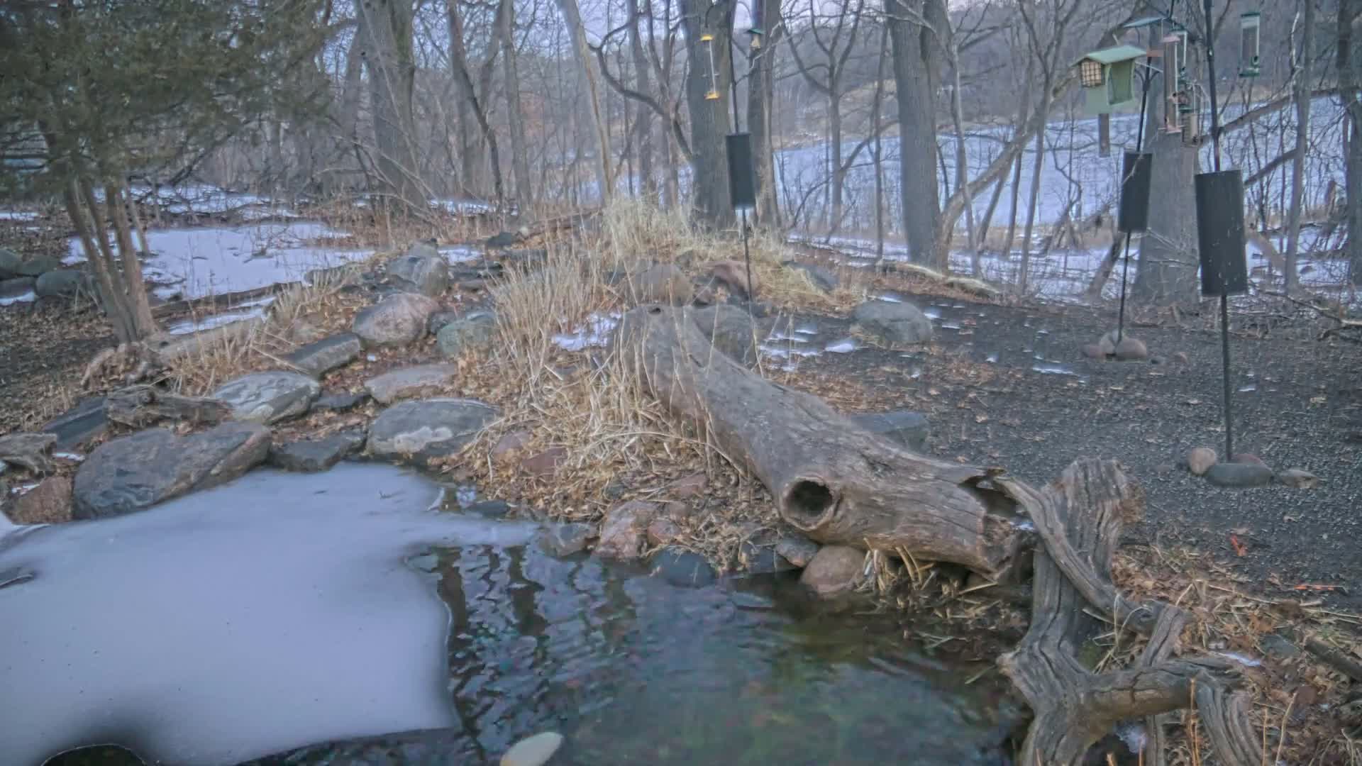 Bloomington, Richardson Nature Center Live Cam – Bloomington, Hennepin, Minnesota, USA