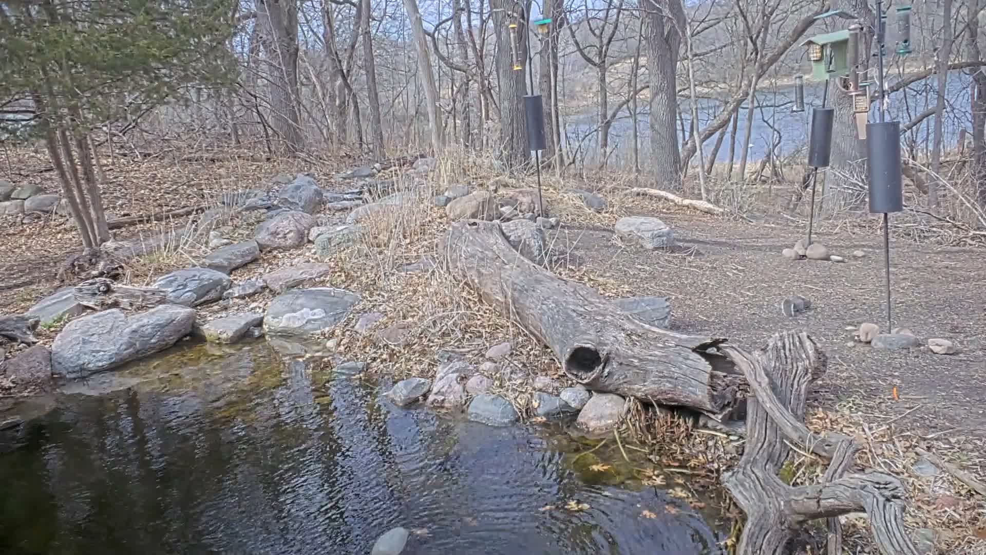Bloomington, Richardson Nature Center Live Cam – Bloomington, Hennepin, Minnesota, USA