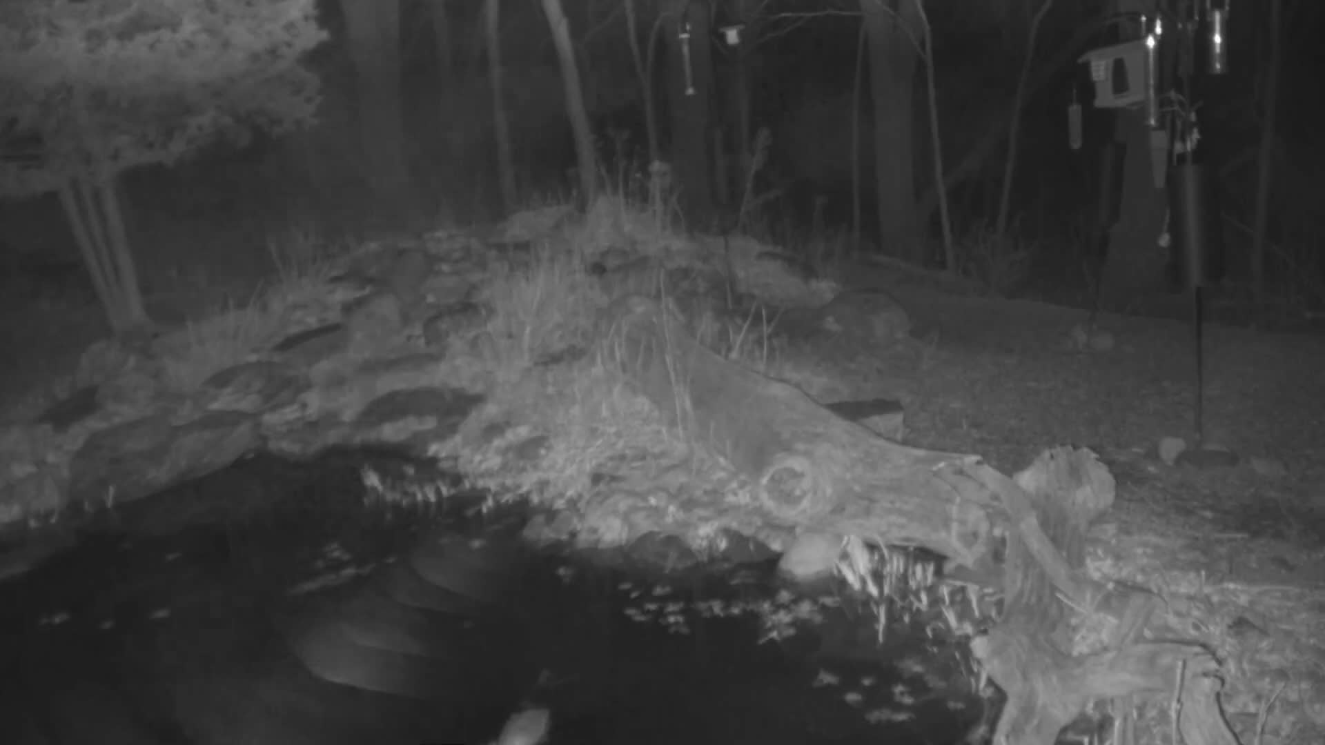 Bloomington, Richardson Nature Center Live Cam – Bloomington, Hennepin, Minnesota, USA
