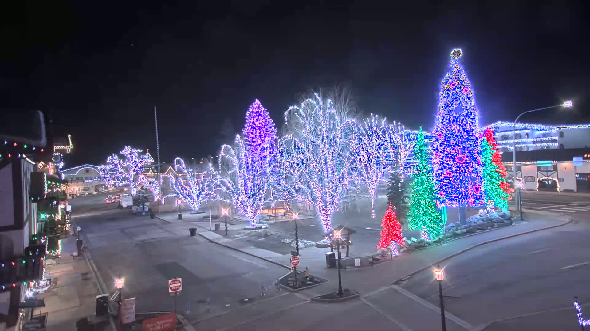 A town square at night is decorated with colorful Christmas lights illuminating trees and several large, illuminated artificial Christmas trees.