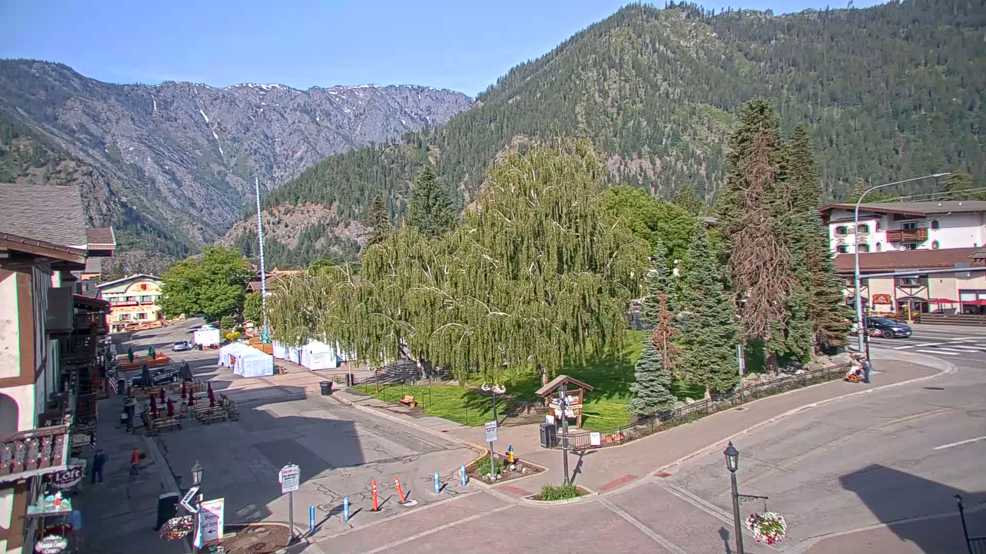 A mountain town square with a large weeping willow tree in the center, surrounded by buildings and under a sunny sky.