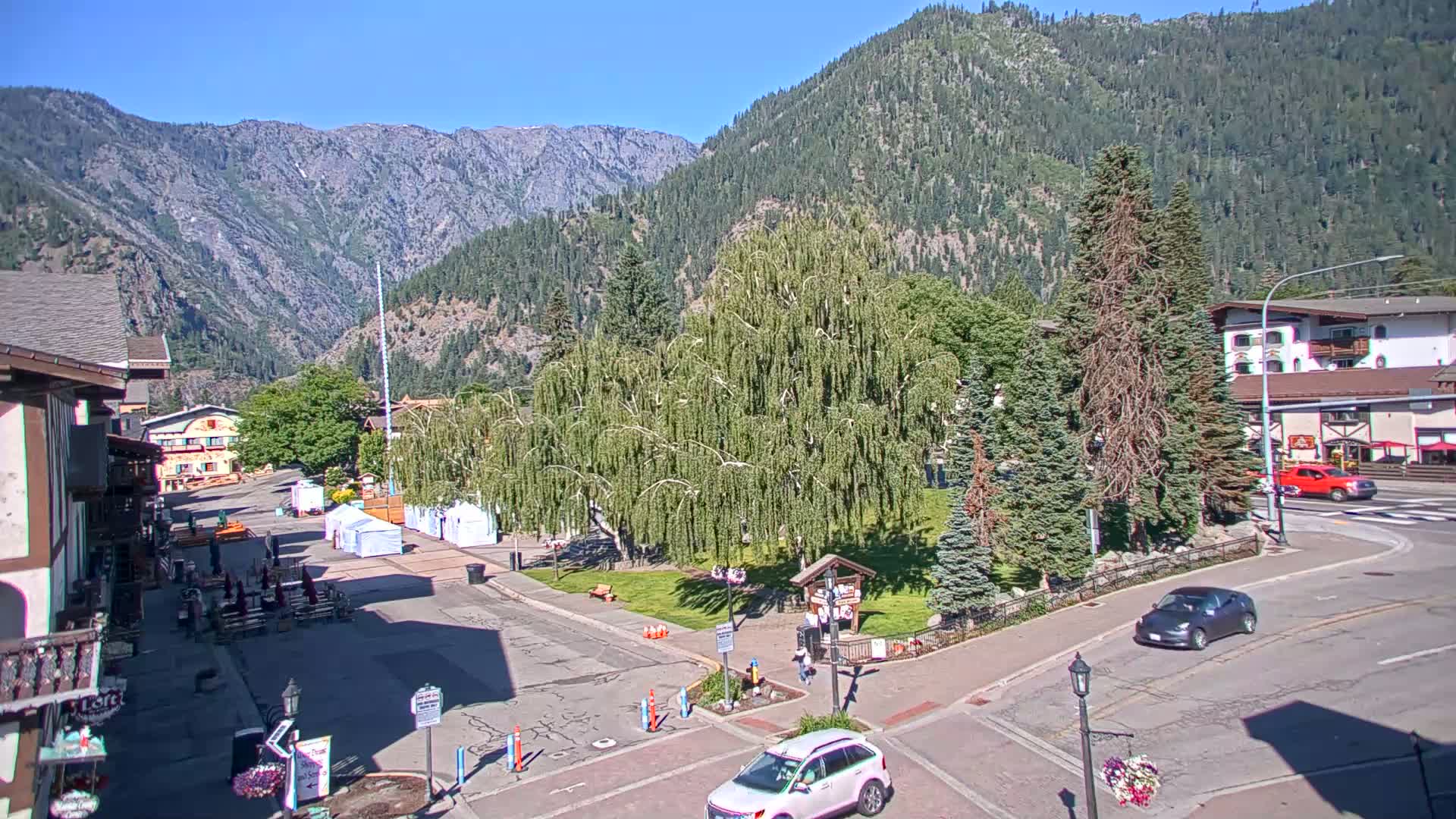 A mountain town square on a sunny day, with a large weeping willow tree in a grassy area surrounded by buildings and cars.