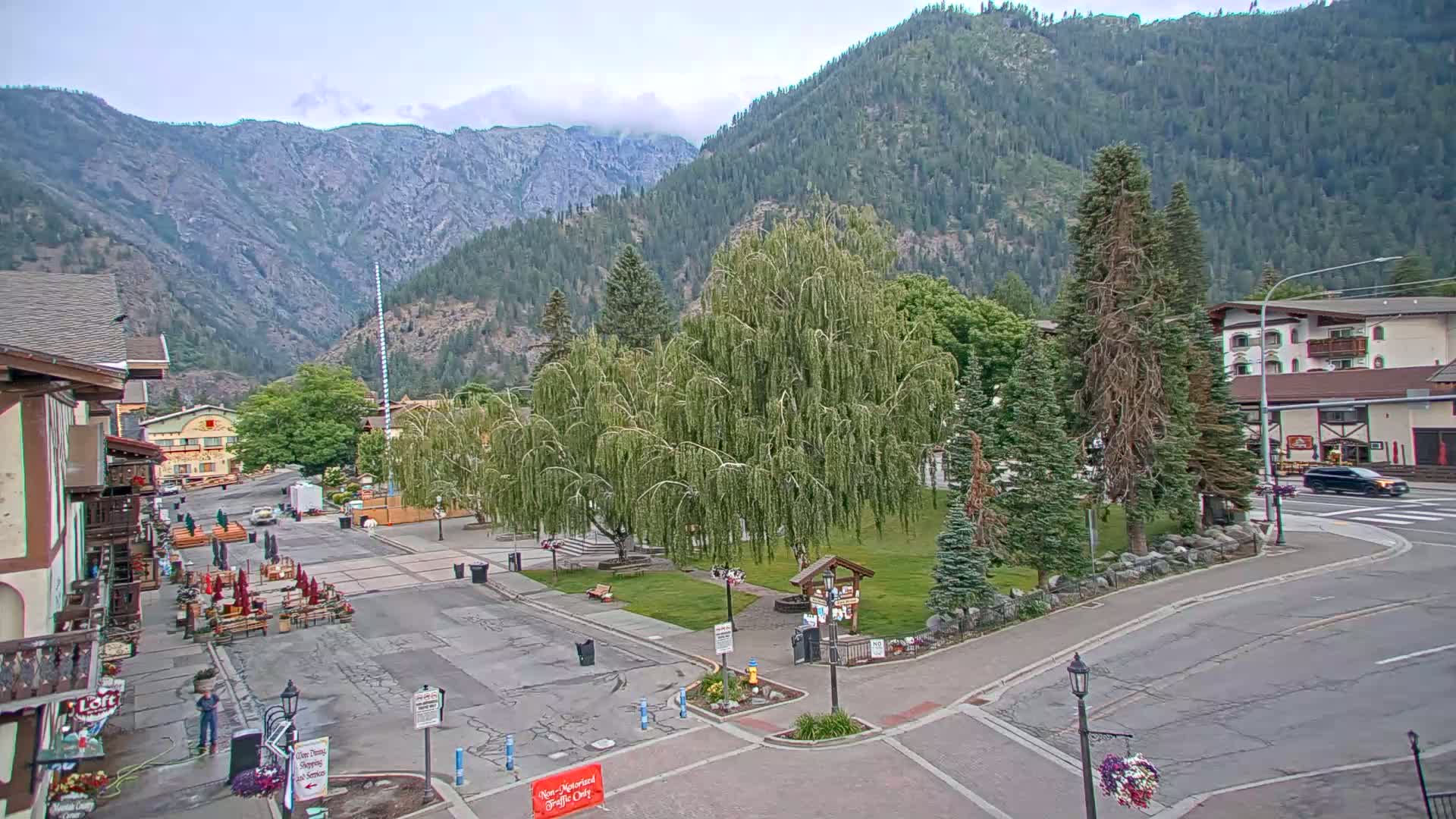 A mountain town square with a large weeping willow tree in the center, surrounded by buildings and streets, under partly cloudy skies.