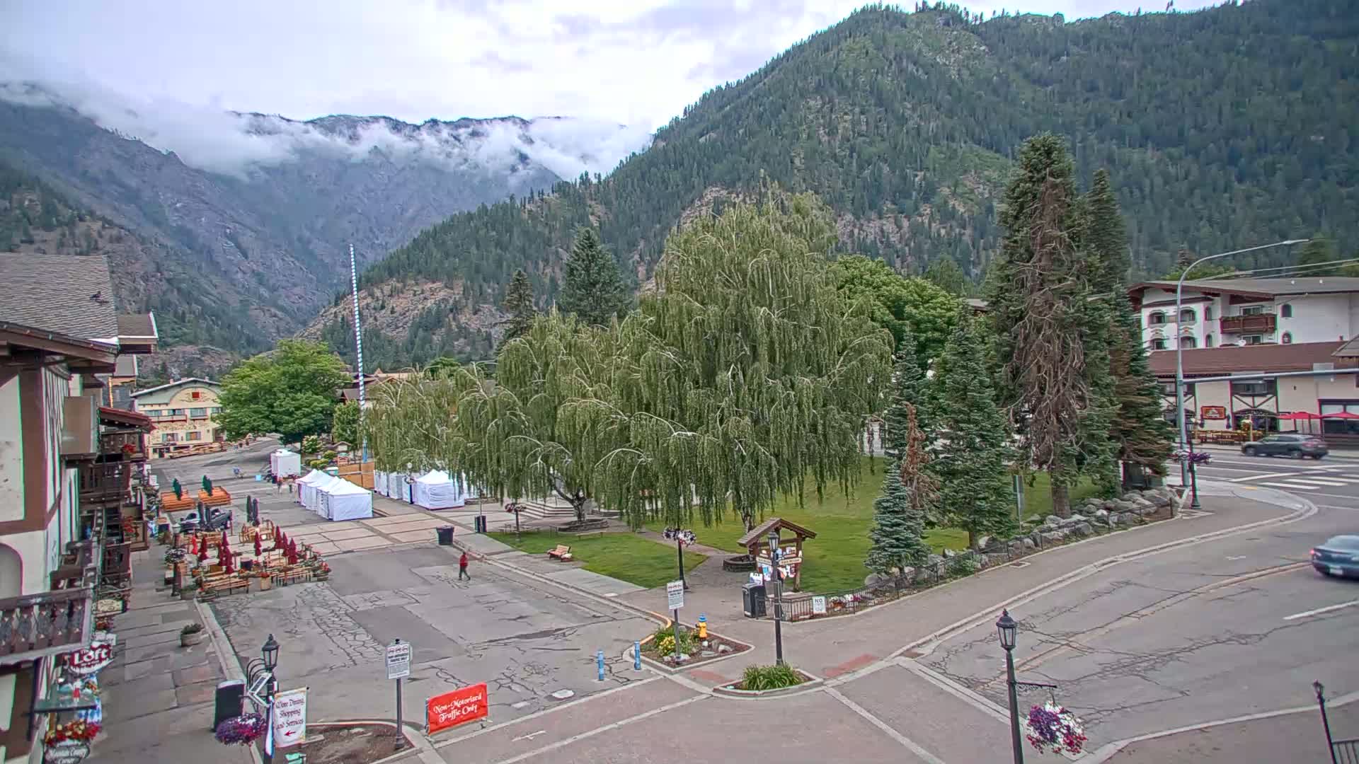 A mountain town square with a large weeping willow tree in the center, under partly cloudy skies, is surrounded by buildings and a few cars.