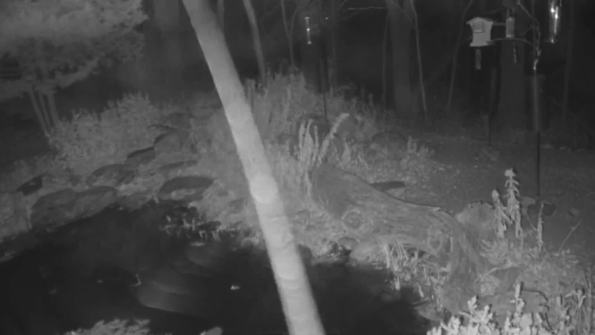 Leavenworth  Village Tumwater Mountain View Live Cam - Leavenworth, Chelan, Washington, USA