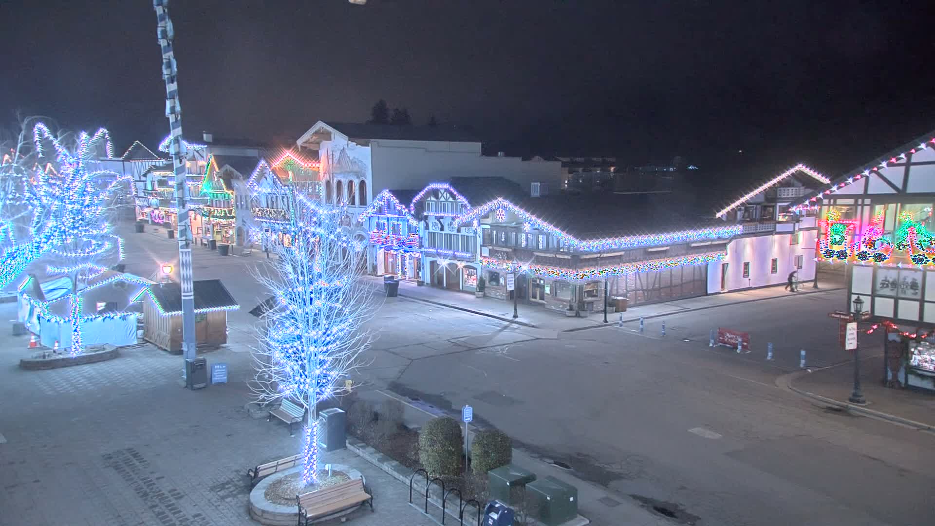 A festive street adorned with Bavarian-style buildings and numerous trees is brightly illuminated with colorful holiday lights under a clear night sky.