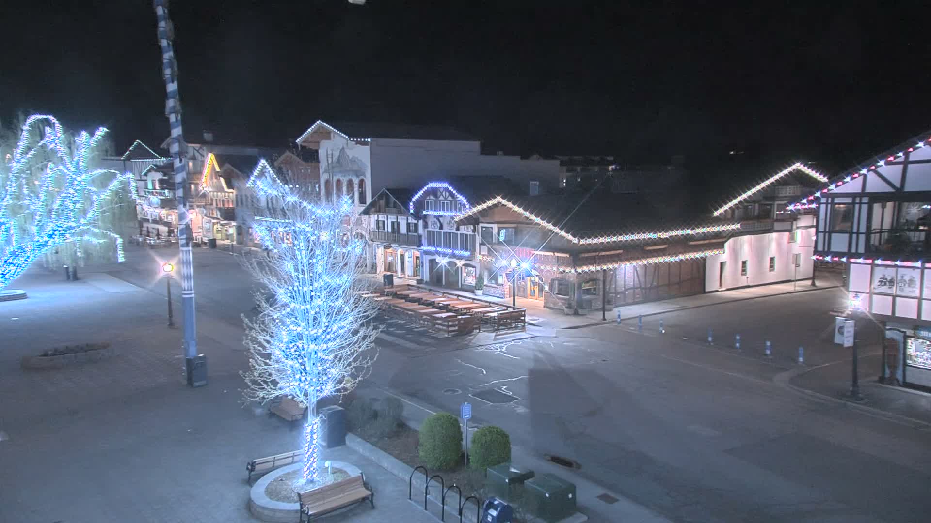 A festive street adorned with Bavarian-style buildings and numerous trees is brightly illuminated with colorful holiday lights under a clear night sky.