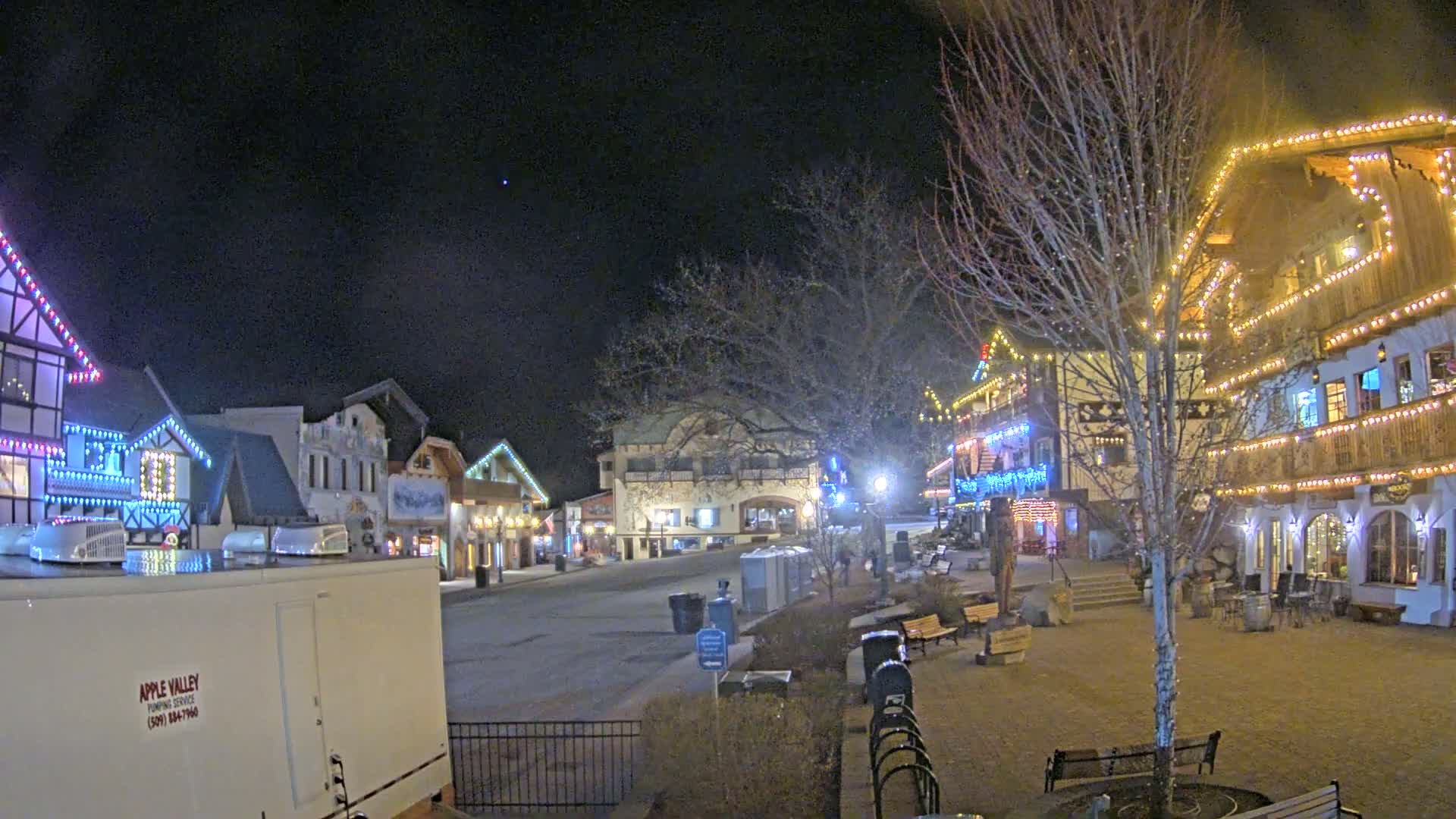A nighttime scene of a town square with buildings decorated in colorful lights, a few benches, and bare trees under a dark, clear sky.