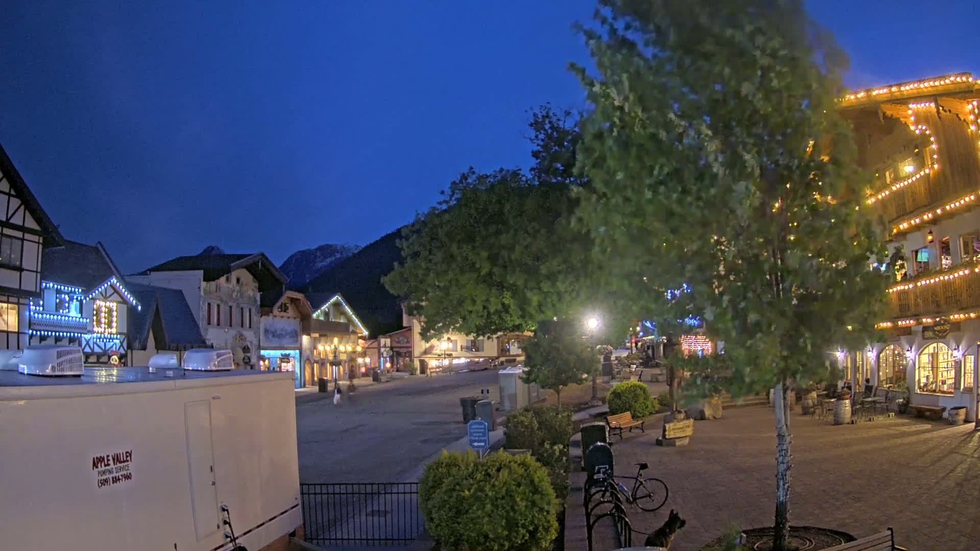 A town square at night, illuminated by streetlights and string lights on buildings, with a large tree in the center and mountains in the background under a dark blue twilight sky.