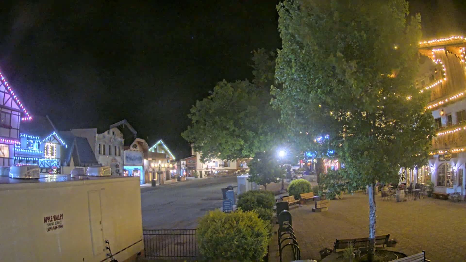 A nighttime view of a town square with several buildings decorated with string lights, a large tree in the center, and a mostly empty street.
