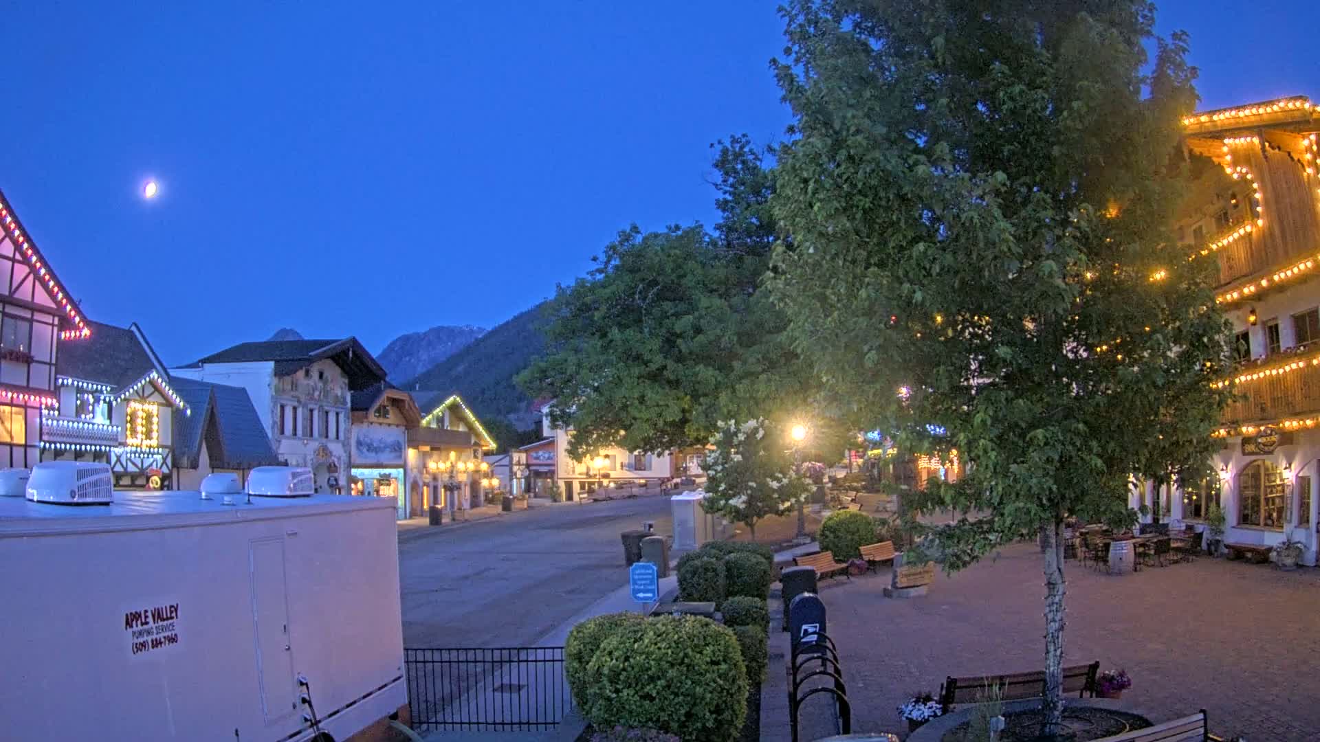 A moonlit night scene shows a town square with several buildings decorated with string lights, and a large tree in the center, under a clear, dark blue sky.
