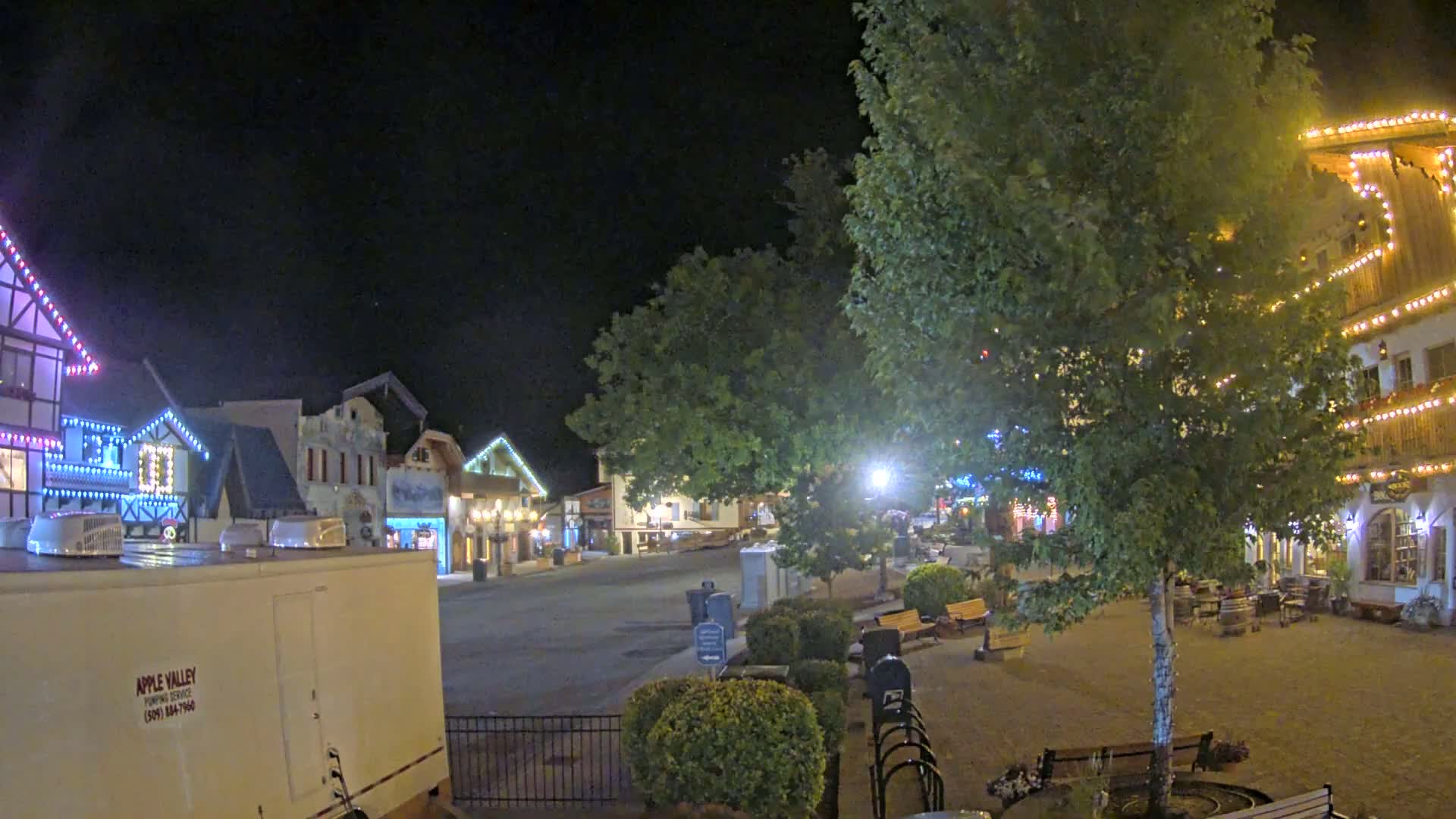 A nighttime view of a town square with several buildings decorated with lights, a large tree in the center, and benches surrounding it.