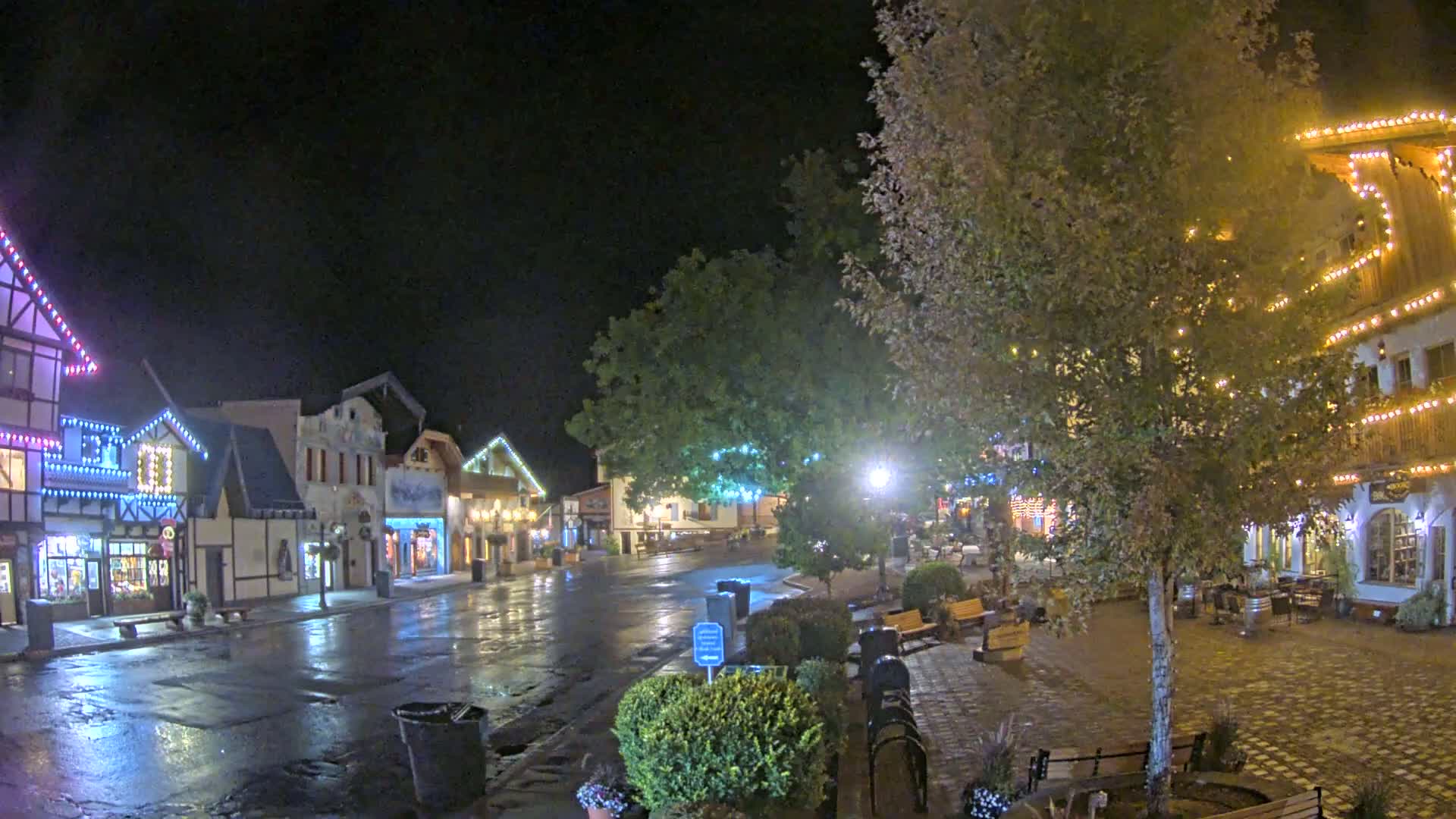 A quiet, nighttime street scene shows several buildings with fairy lights, landscaping, and park benches under a clear, dark sky.
