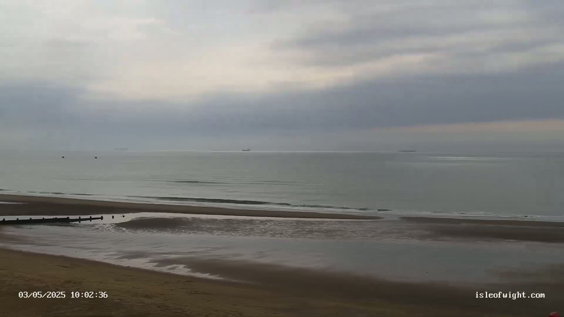 A sandy beach with calm waves under an overcast sky shows several distant ships on the horizon.