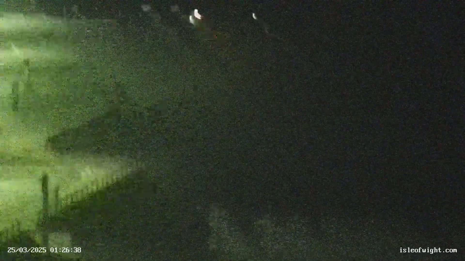 A blurry nighttime image shows dark green vegetation and a dark sky.