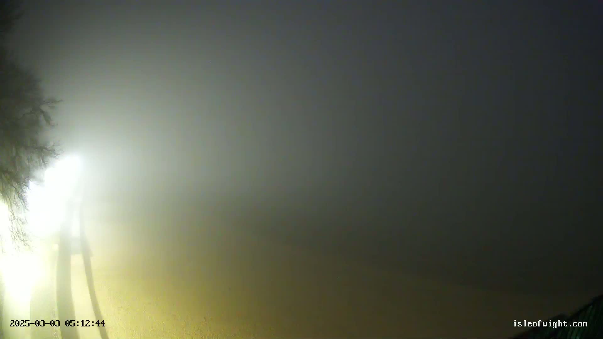 A foggy, dimly lit outdoor scene at night shows the silhouette of a tree and its shadow cast on a ground.