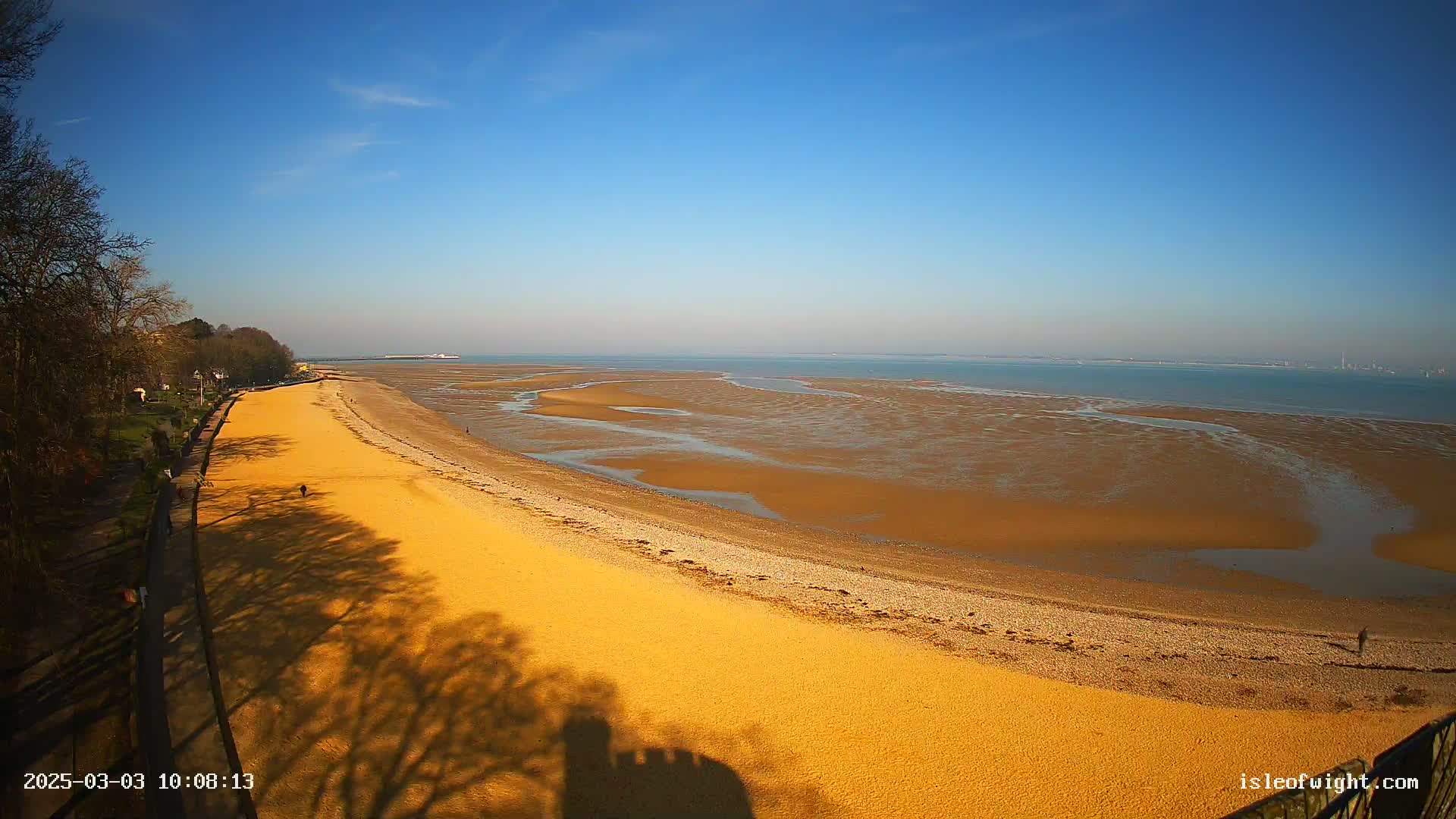 A sandy beach stretches along a calm, blue body of water under a clear, sunny sky, with the shadows of trees cast on the sand.