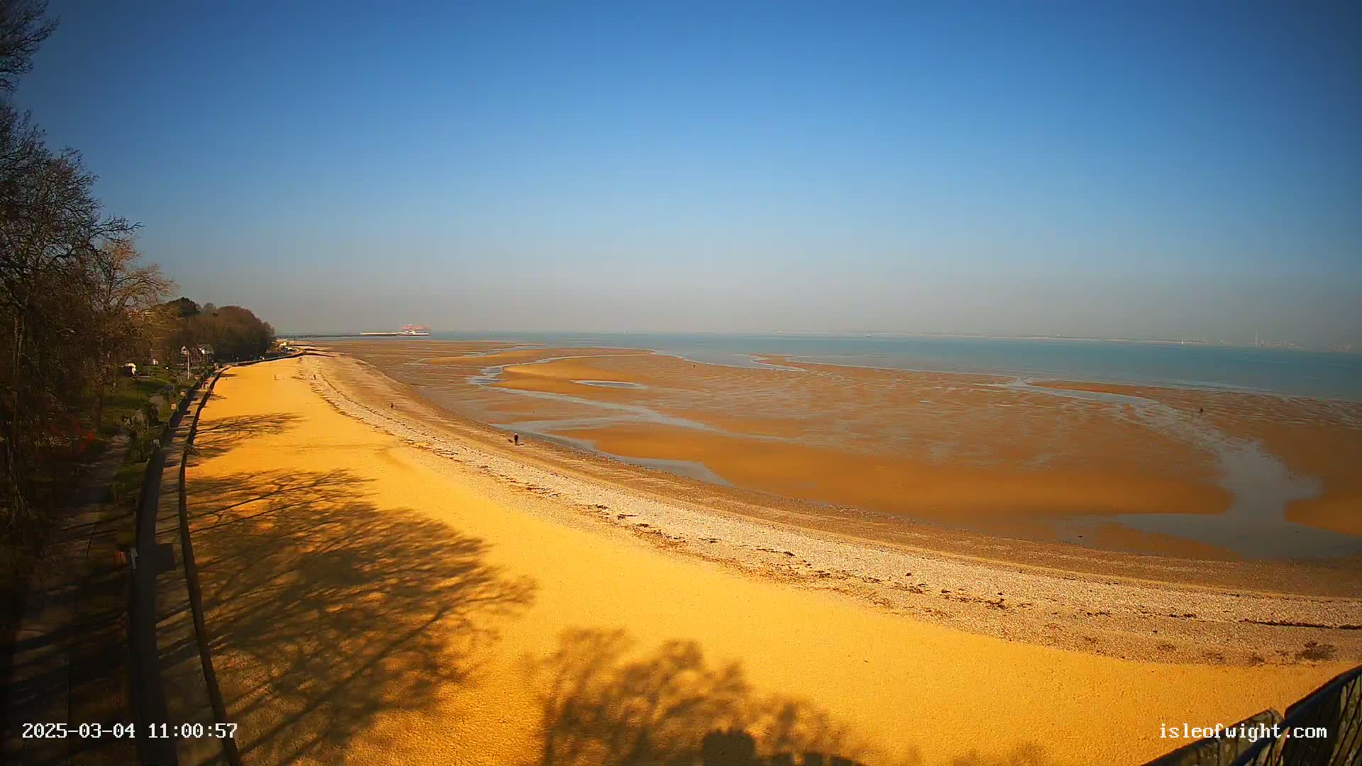 A sandy beach stretches along a calm, blue body of water under a clear blue sky, with the shadows of trees cast on the sand.