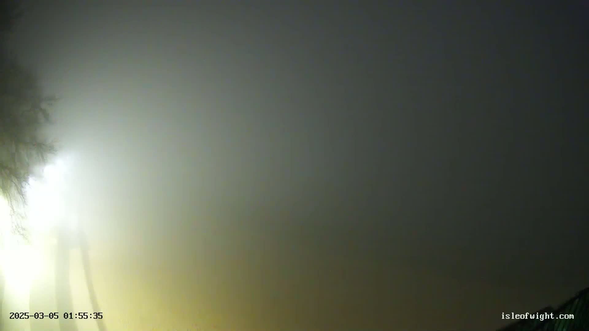 A foggy night scene shows the silhouettes of trees and a light source in the lower left corner.