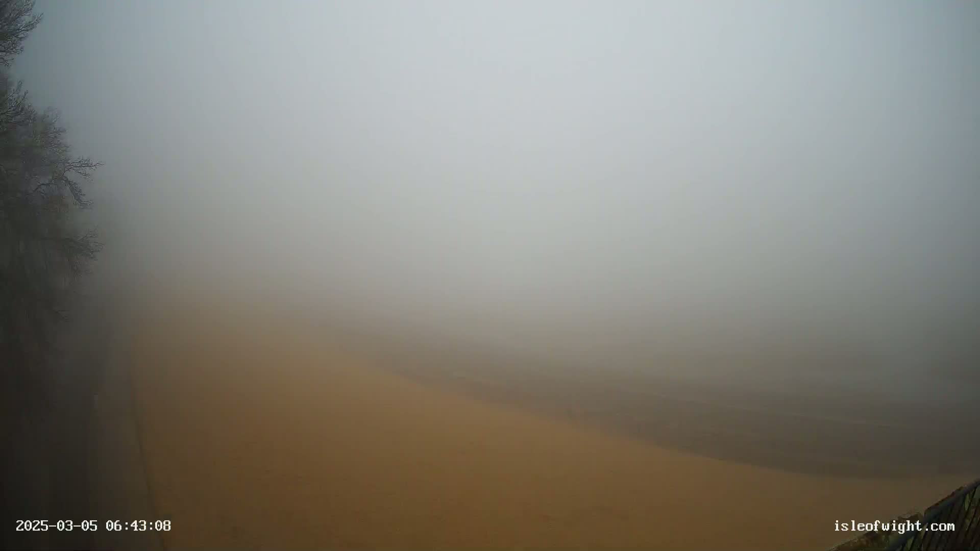 A thick fog obscures a view of a tan, possibly sandy, expanse with a dark tree visible on the left.