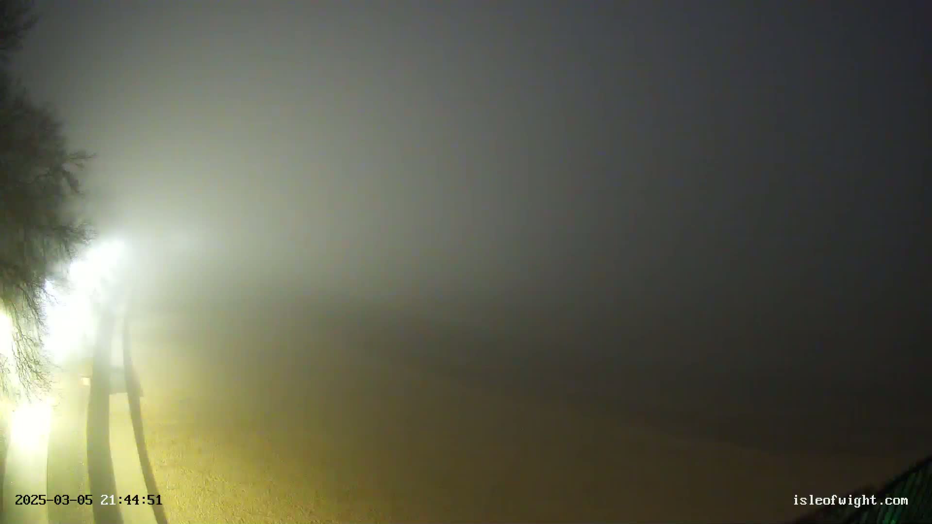 A foggy nighttime scene shows a tree silhouetted against a brightly lit area, extending into a thick fog obscuring the rest of the view.
